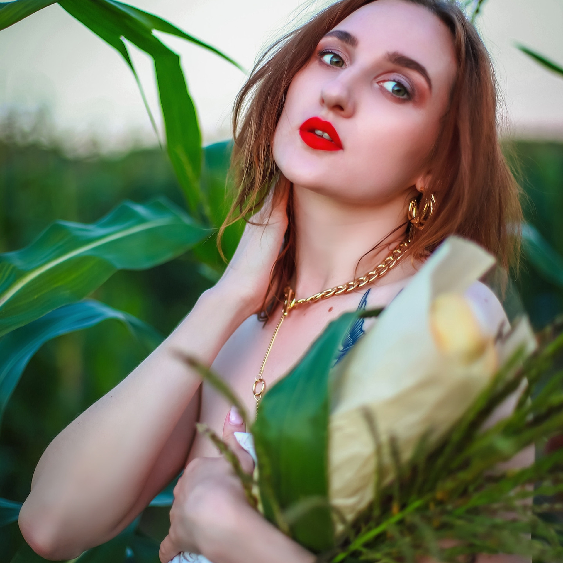 Анастасия на кукурузном поле