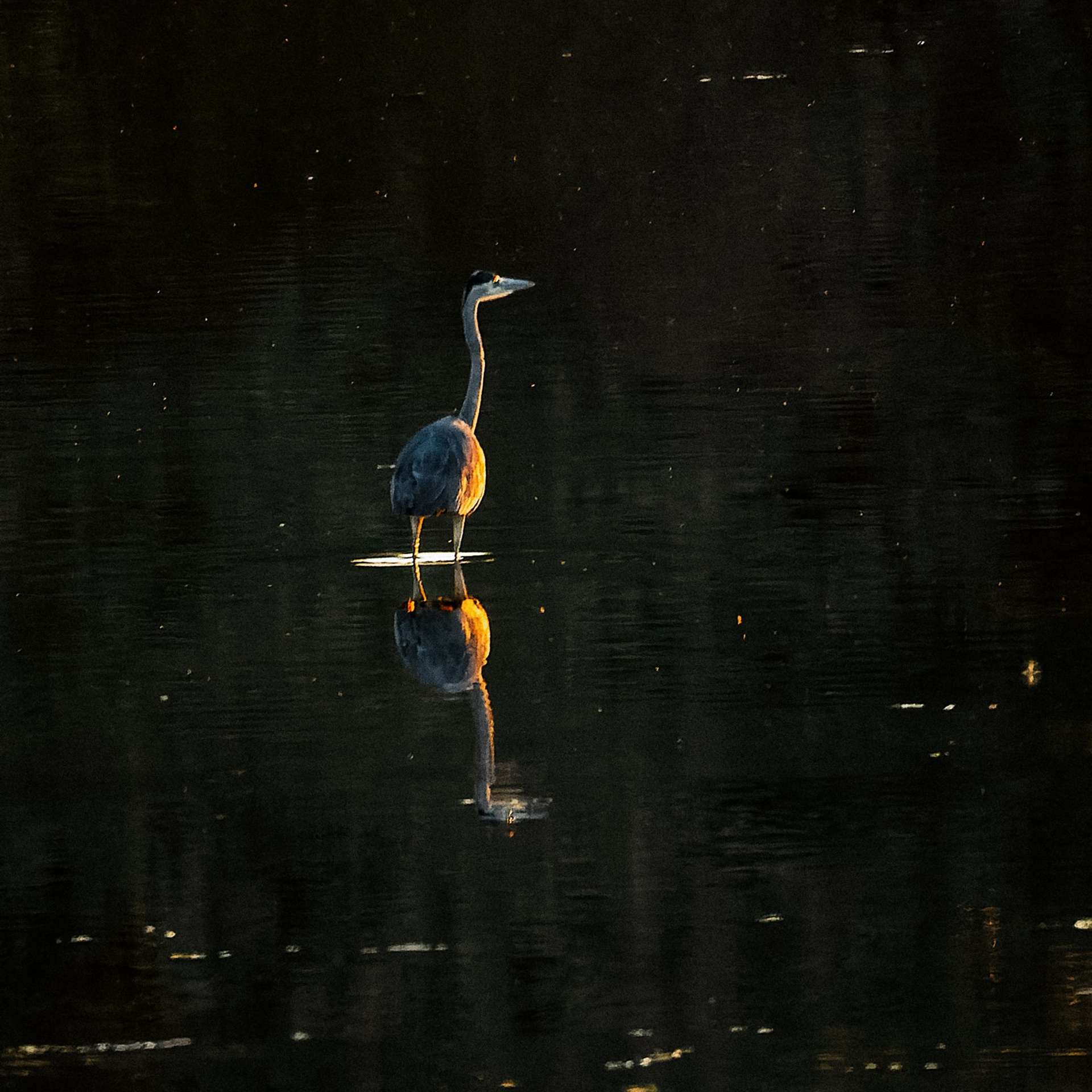 Марк. Андрей Сливенко. Свадебный фотограф и видеограф в Волгодонске и Ростове-на-Дону