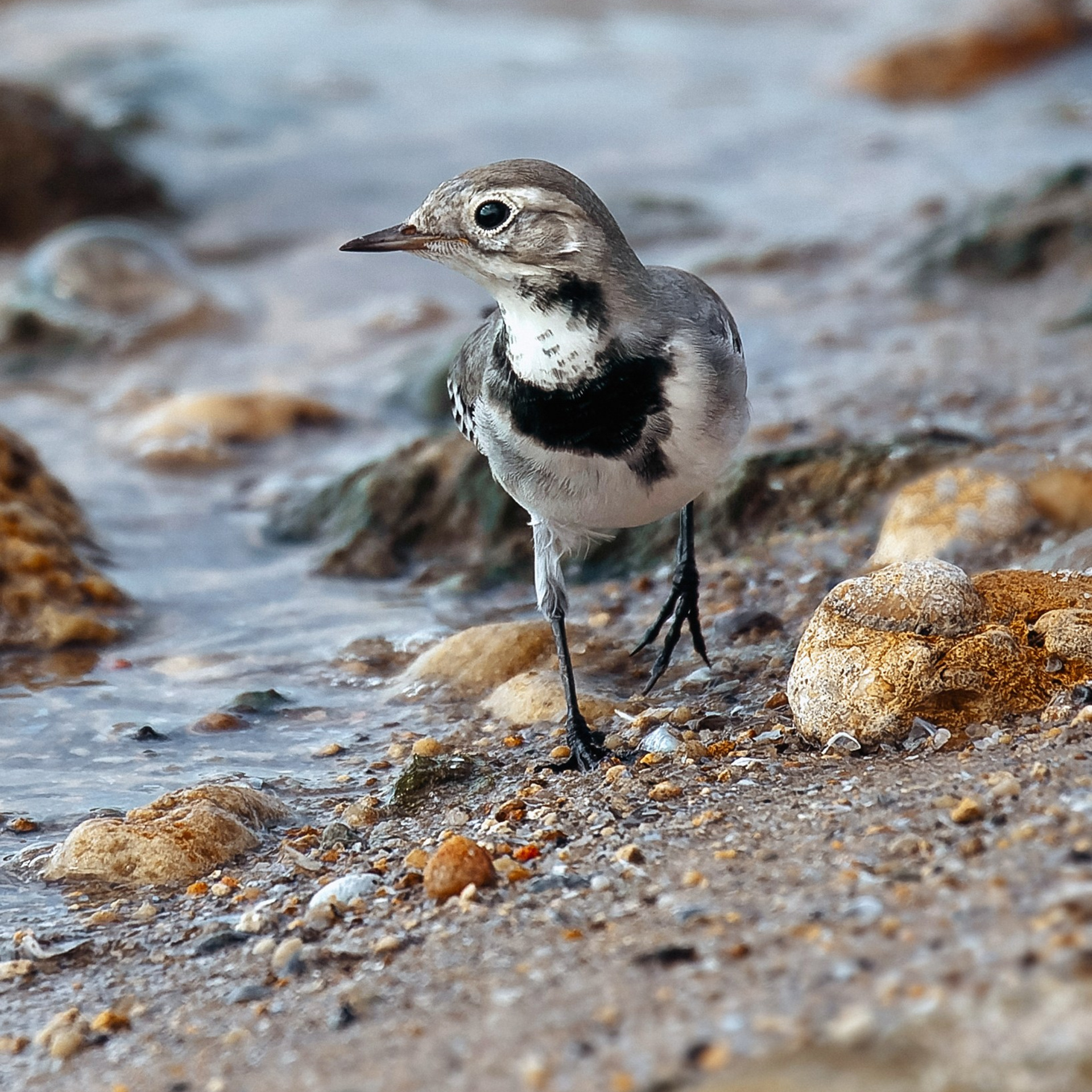Марк. Андрей Сливенко. Свадебный фотограф и видеограф в Волгодонске и Ростове-на-Дону