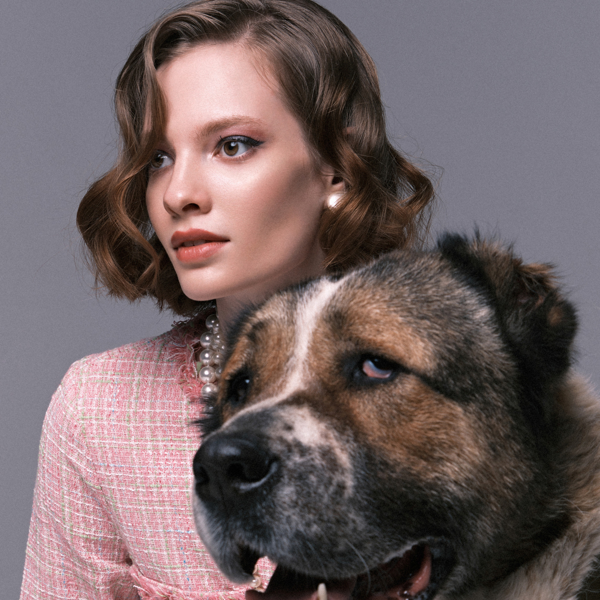 Благотворительная выставка в помощь бездомным животным