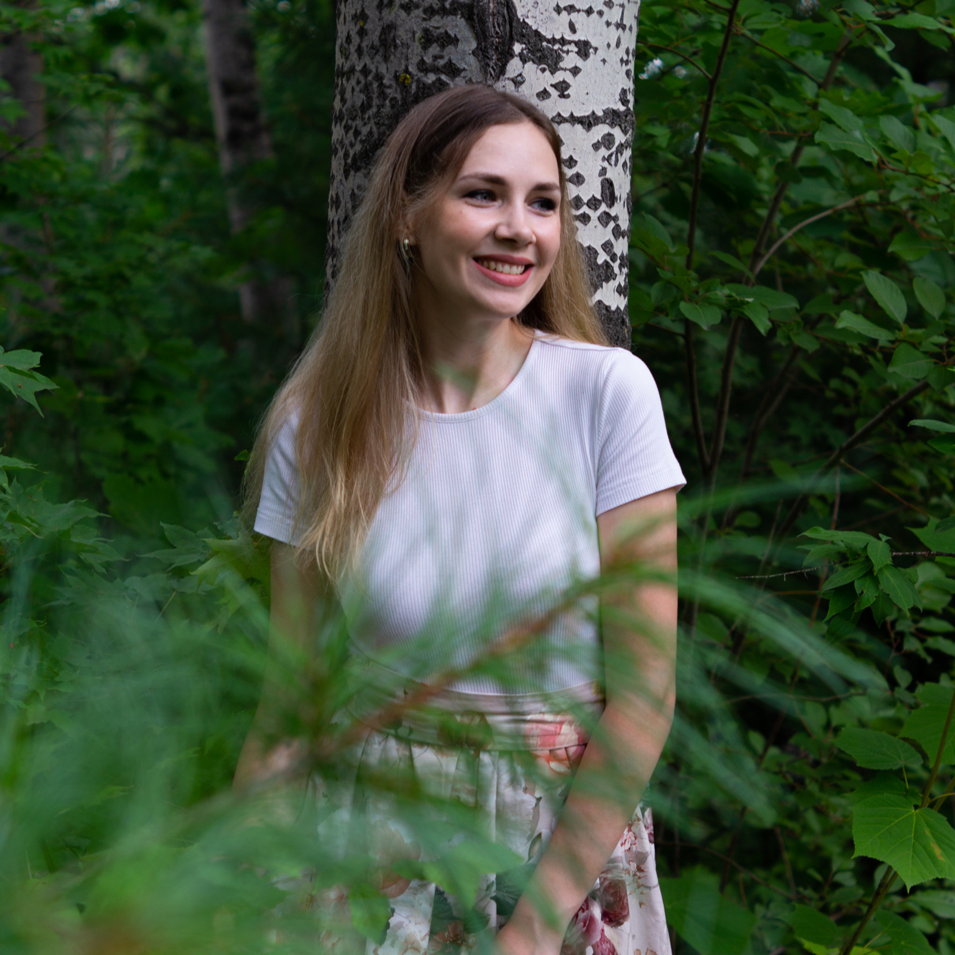 В затерянном лесу