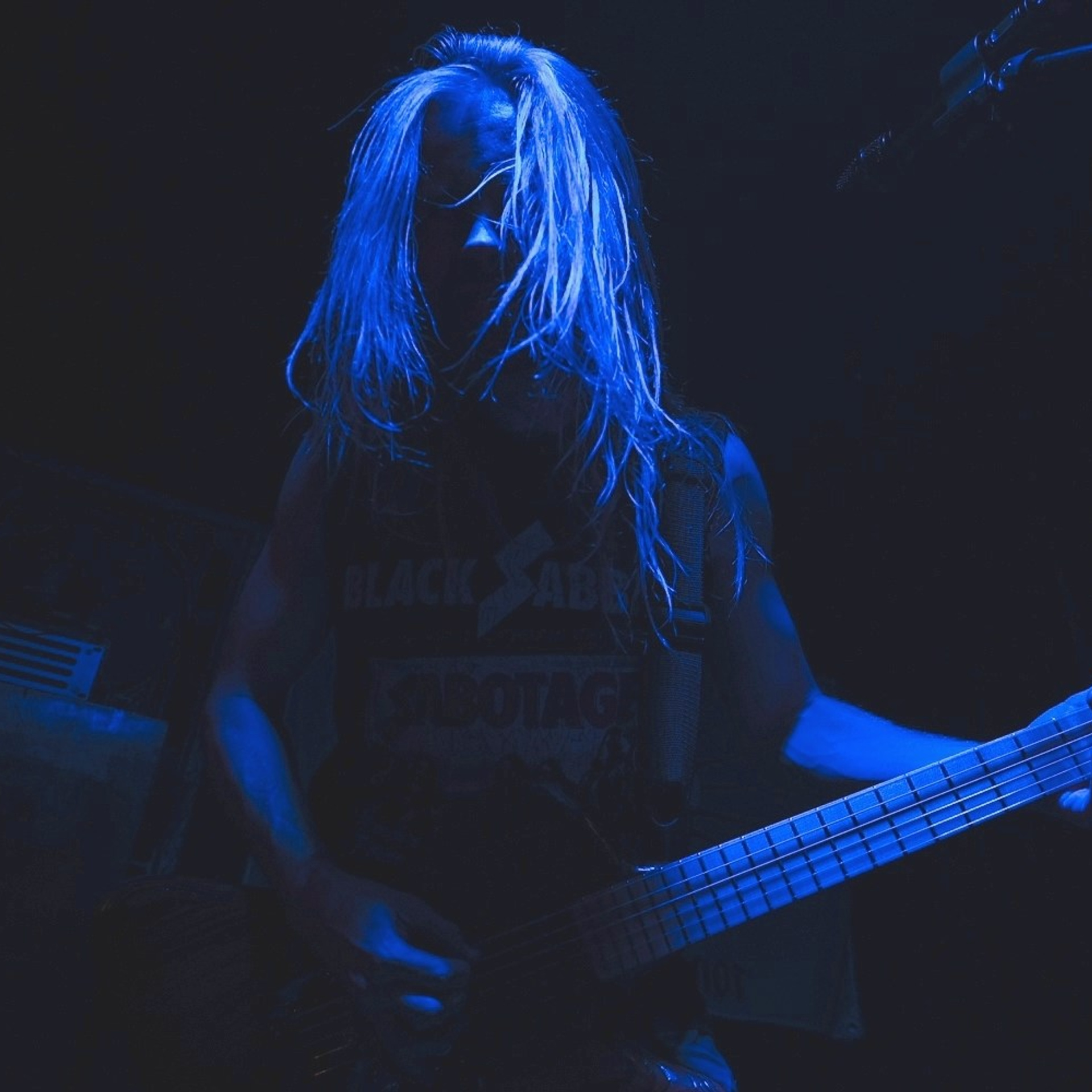 Отзывы. Vulpes Vids