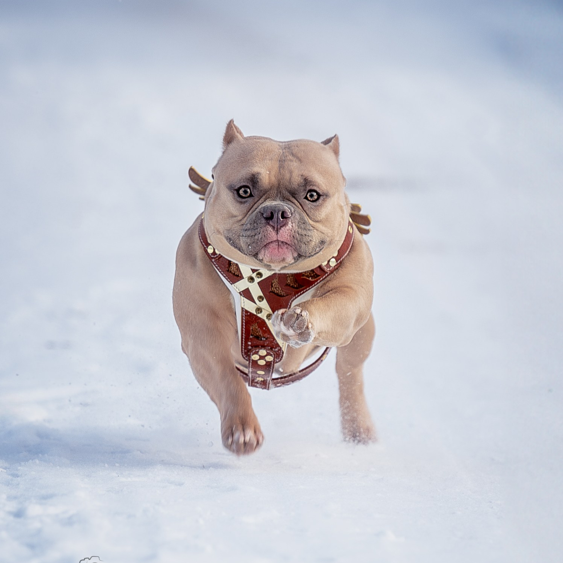 Истории. Главная