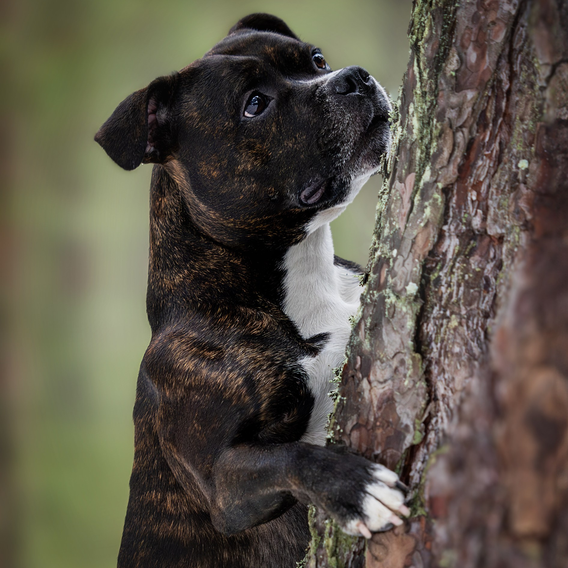 Истории. Главная