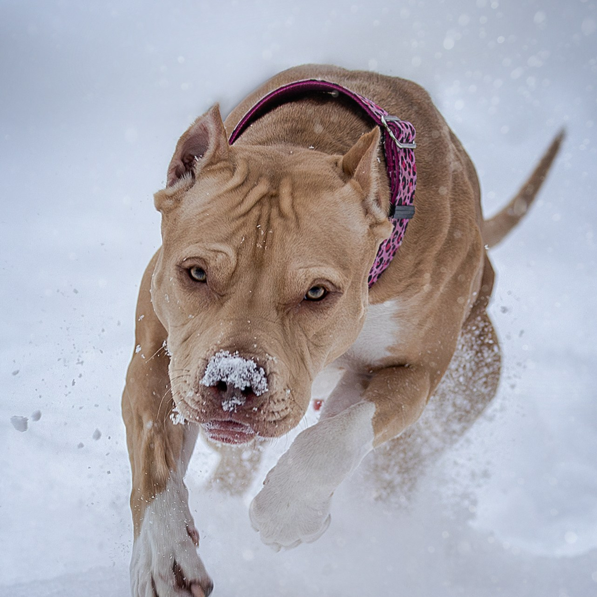 Истории. Главная