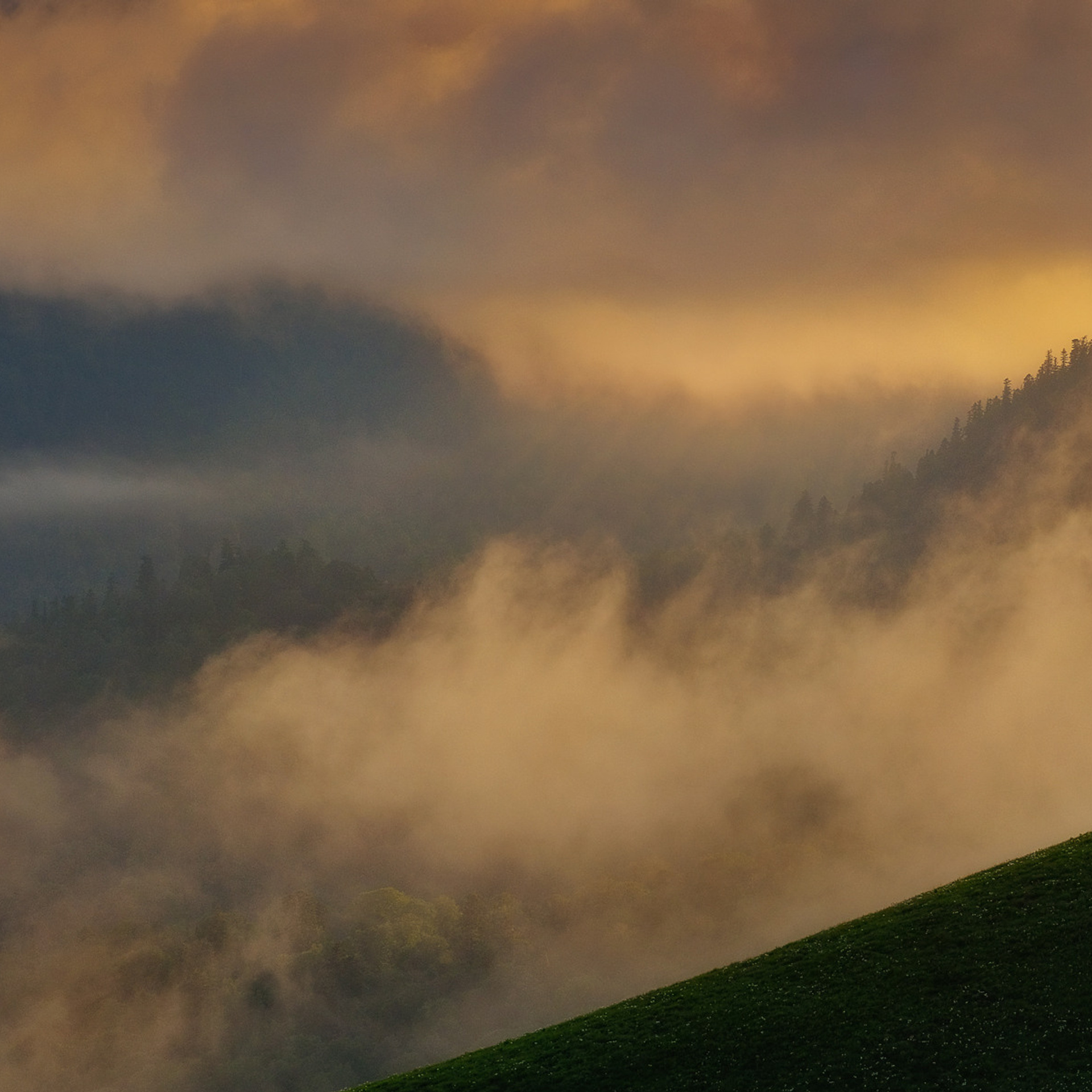 Краснодарский край и Адыгея. Пейзажный фотограф Олеся Федосеенкова. Фудфотограф в Туапсе, Краснодар