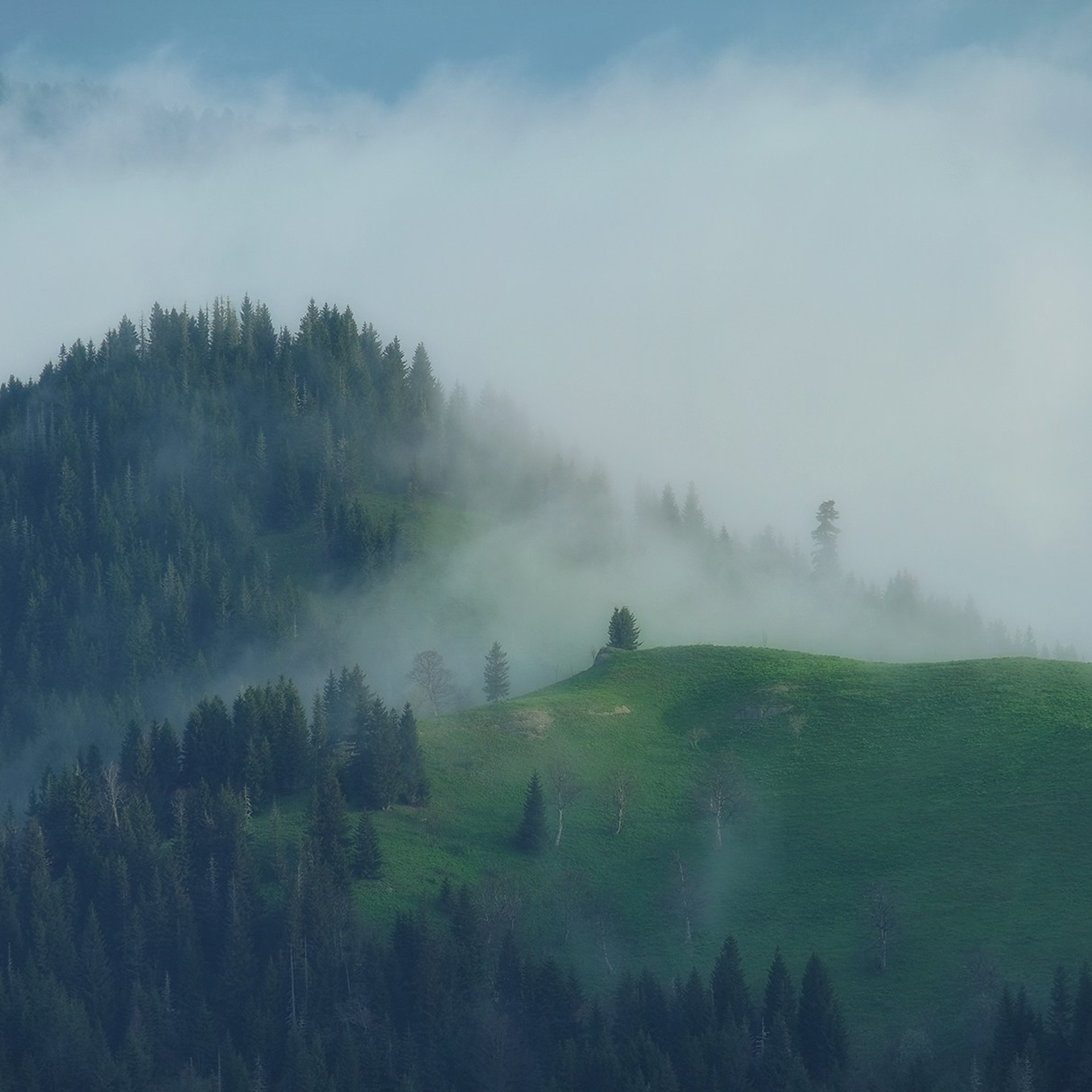 Грузия. Пейзажный фотограф Олеся Федосеенкова. Фудфотограф в Туапсе, Краснодар