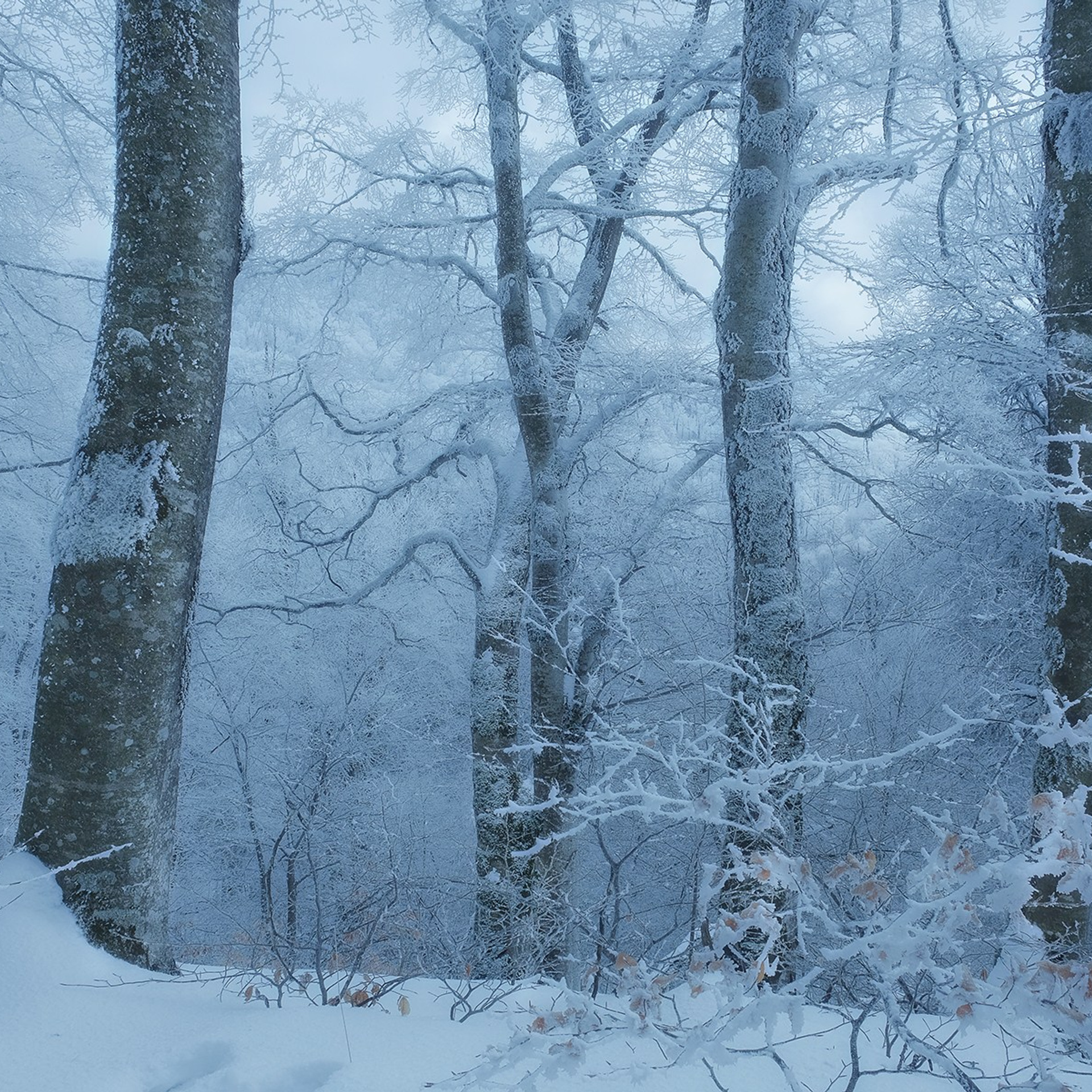 Грузия. Пейзажный фотограф Олеся Федосеенкова. Фудфотограф в Туапсе, Краснодар