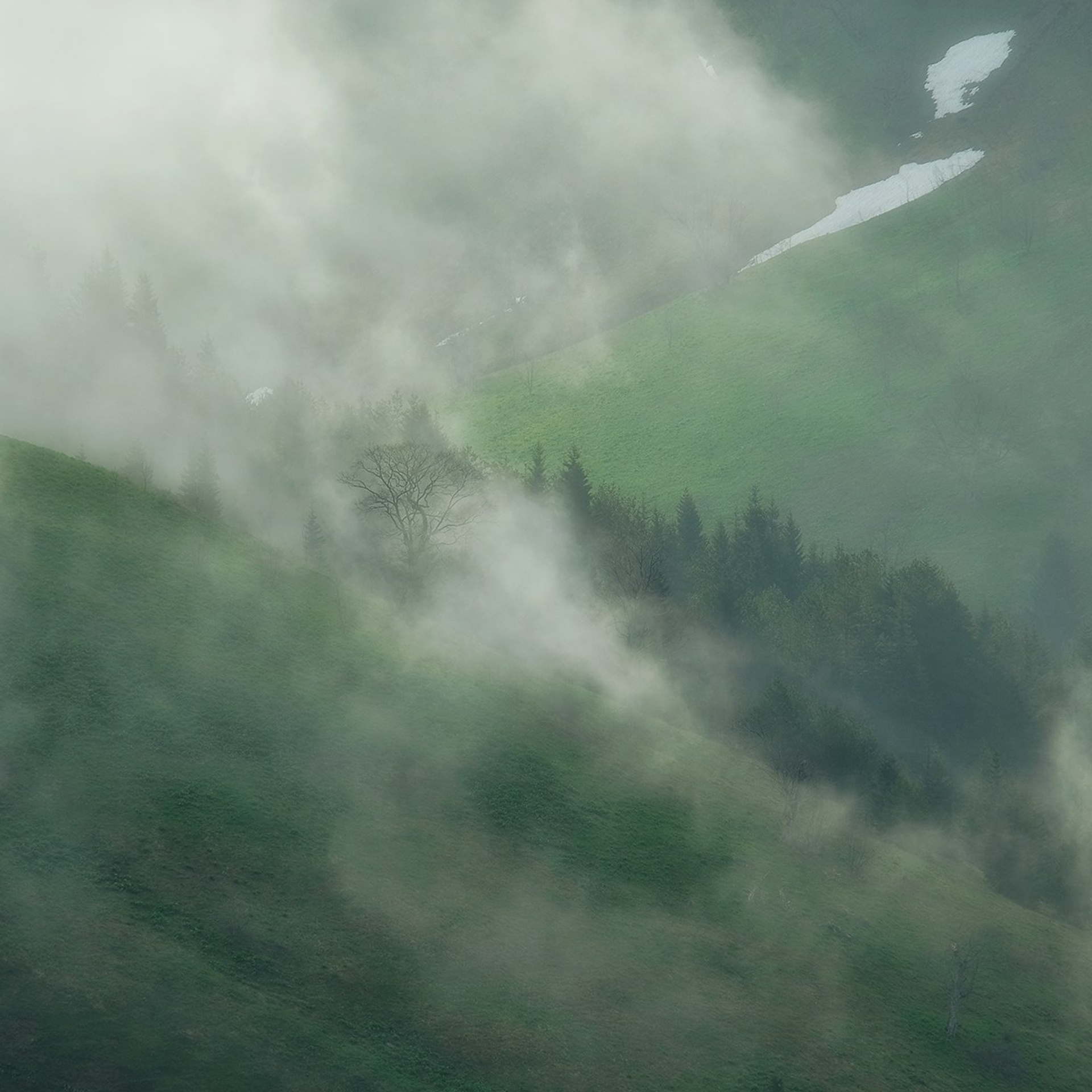 Грузия. Пейзажный фотограф Олеся Федосеенкова. Фудфотограф в Туапсе, Краснодар