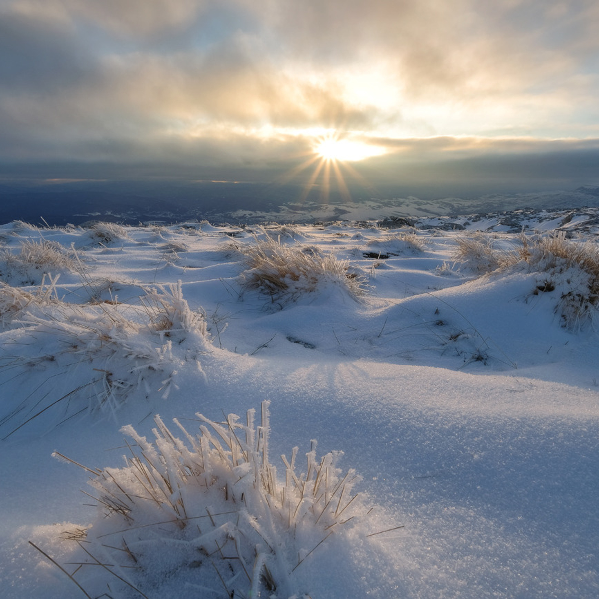 Карачаево-Черкесия. Пейзажный фотограф Олеся Федосеенкова. Фудфотограф в Туапсе, Краснодар
