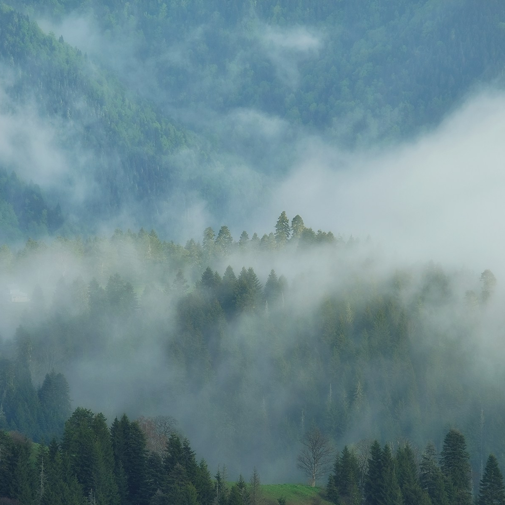 Грузия. Пейзажный фотограф Олеся Федосеенкова. Фудфотограф в Туапсе, Краснодар