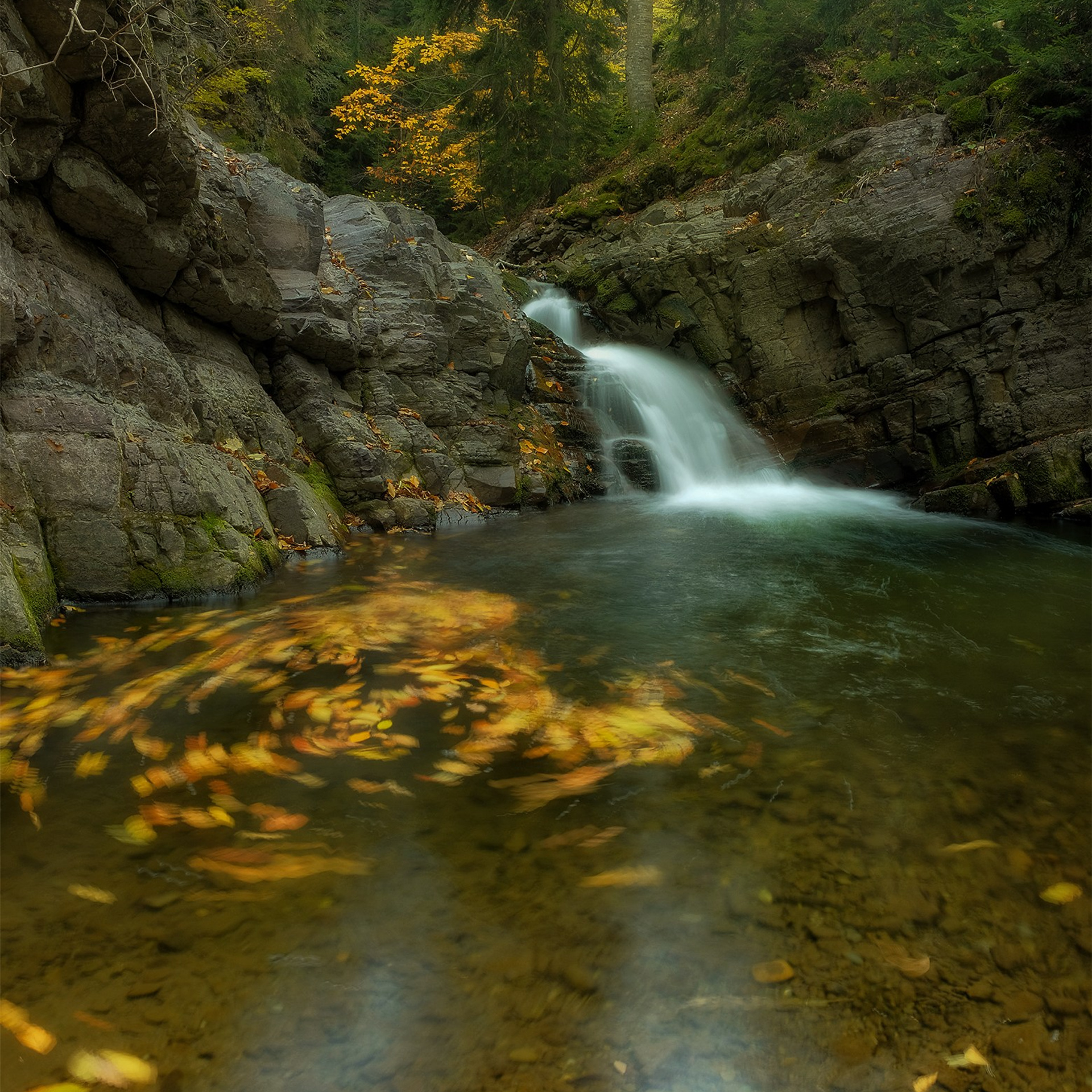 Грузия. Пейзажный фотограф Олеся Федосеенкова. Фудфотограф в Туапсе, Краснодар