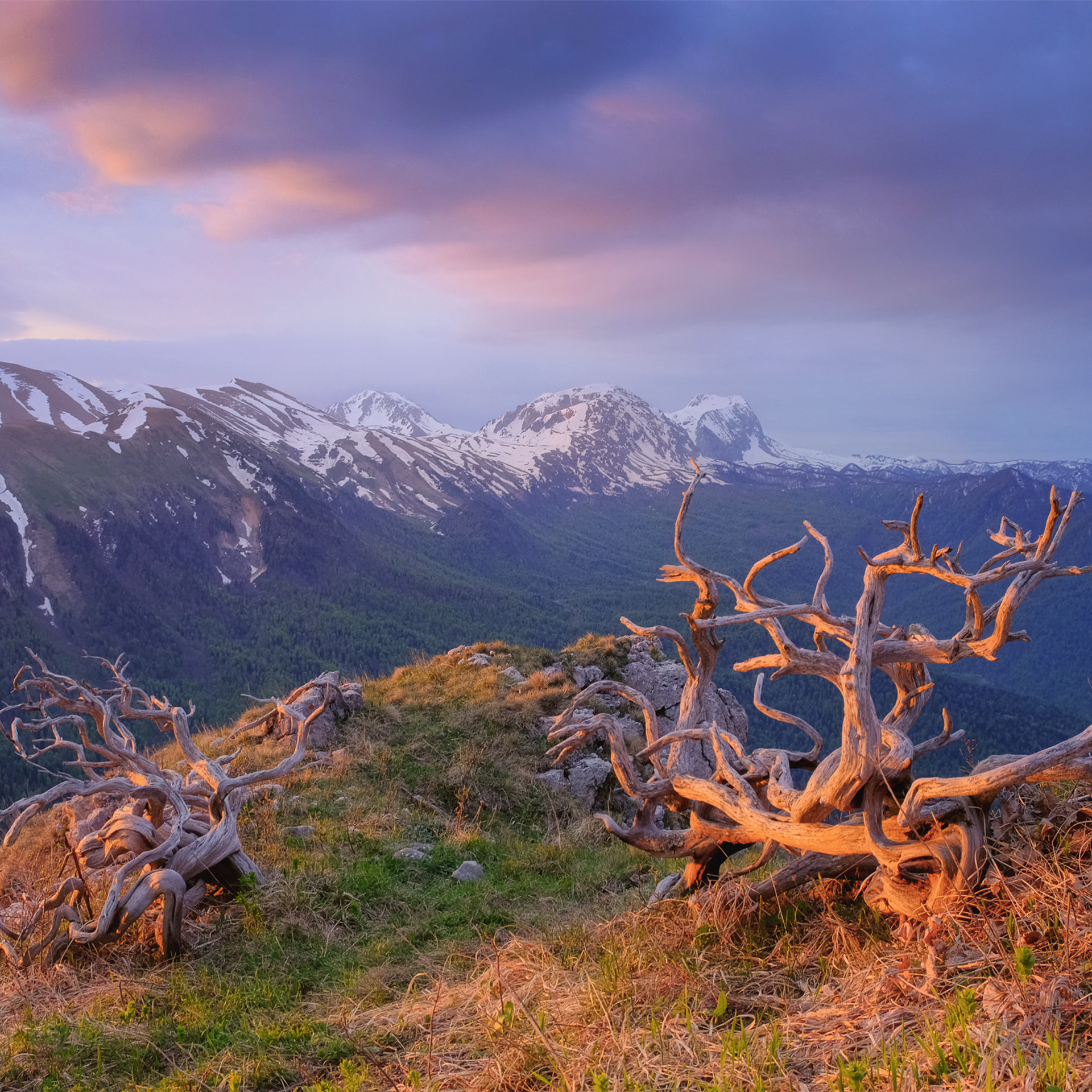 Краснодарский край и Адыгея. Пейзажный фотограф Олеся Федосеенкова. Фудфотограф в Туапсе, Краснодар