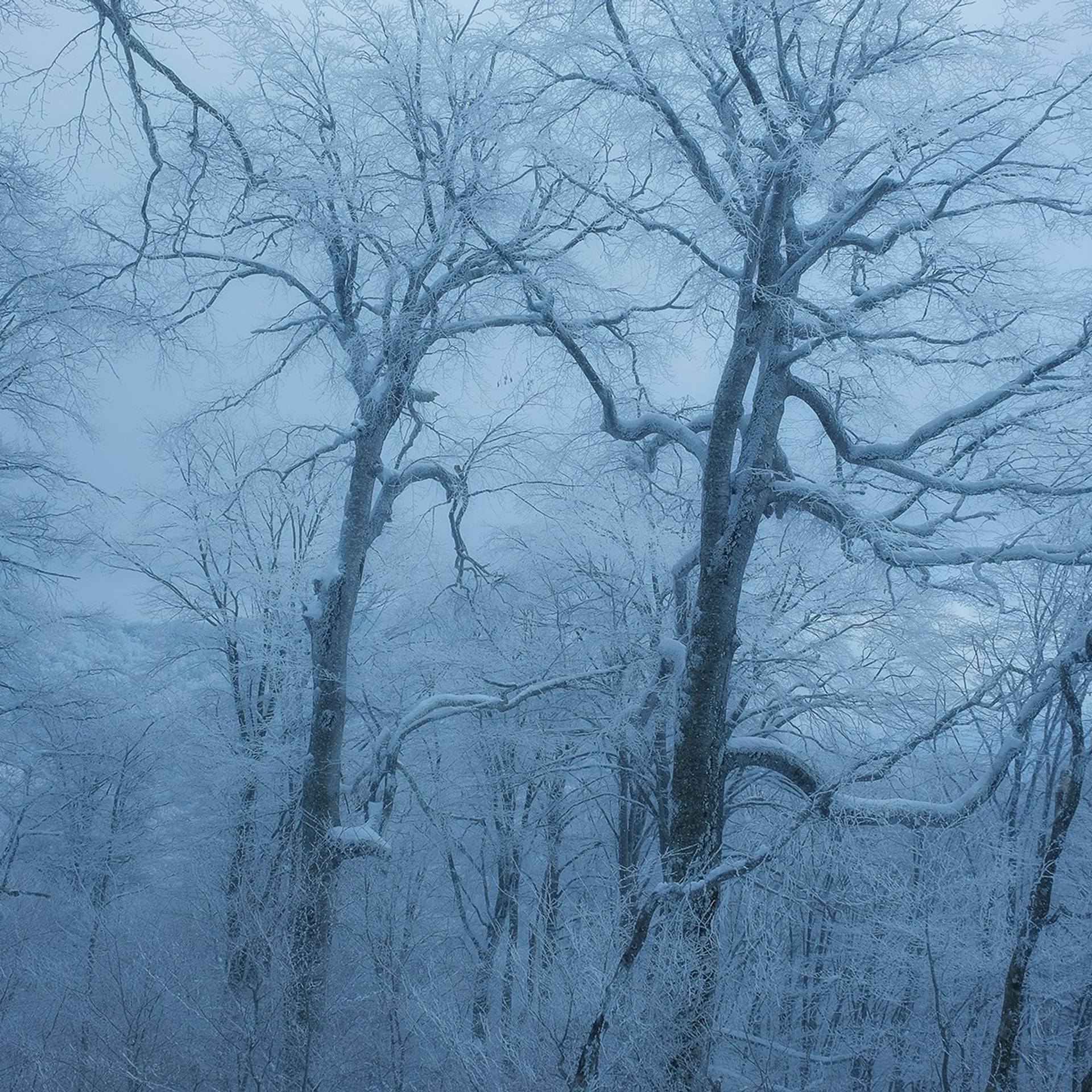 Грузия. Пейзажный фотограф Олеся Федосеенкова. Фудфотограф в Туапсе, Краснодар