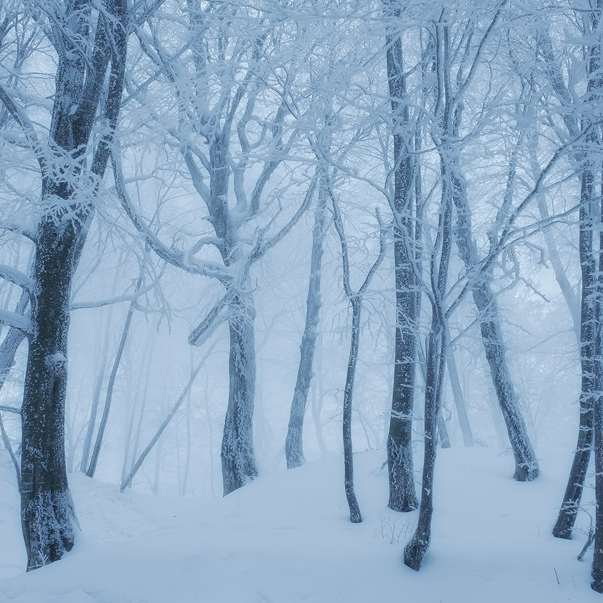Грузия. Пейзажный фотограф Олеся Федосеенкова. Фудфотограф в Туапсе, Краснодар