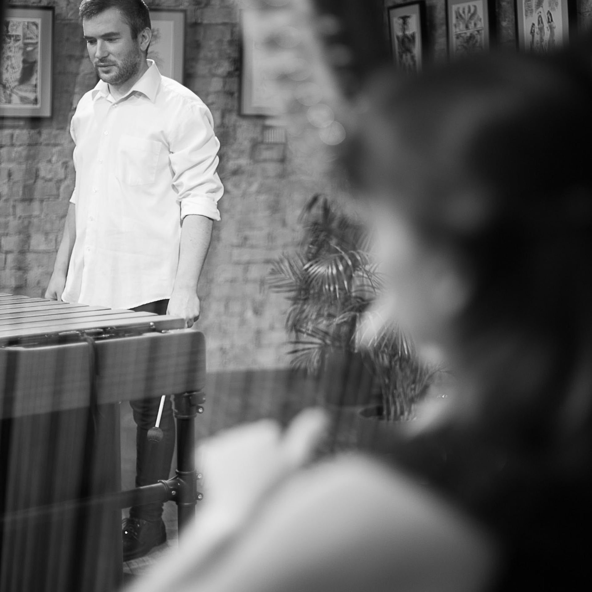 Арфа и маримба