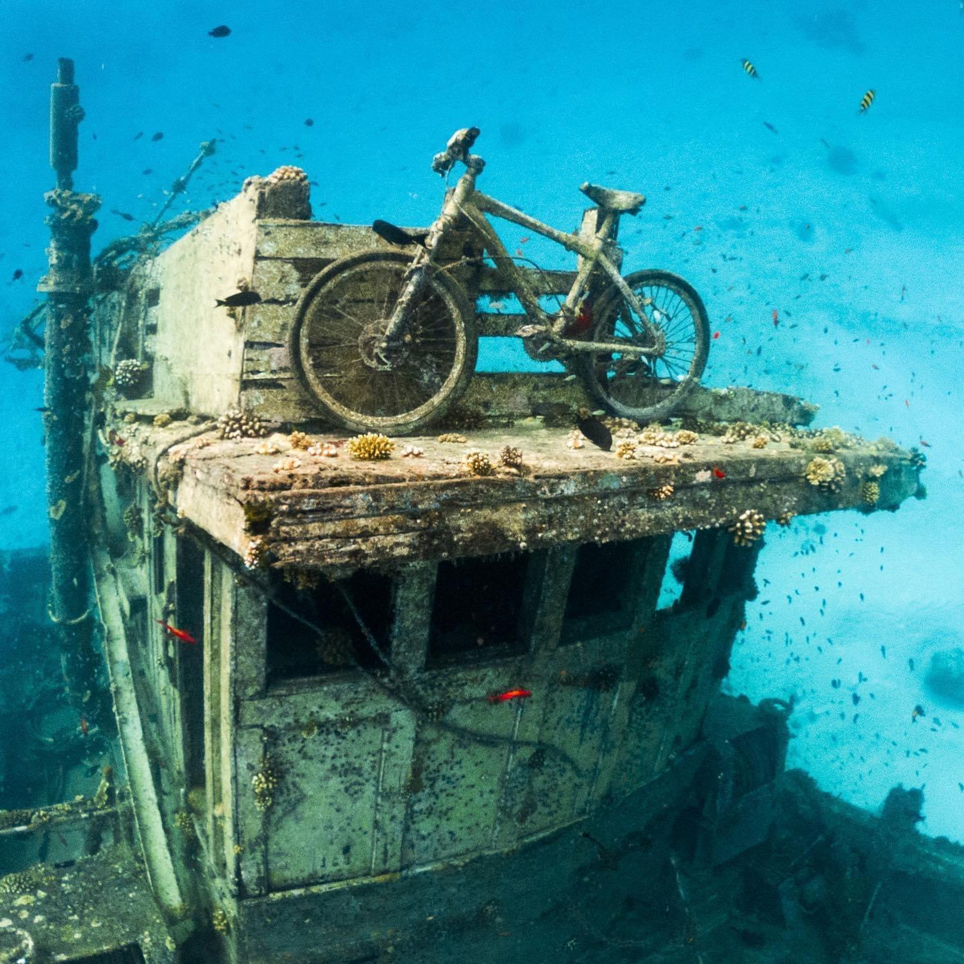 Экскурсии Мальдивы