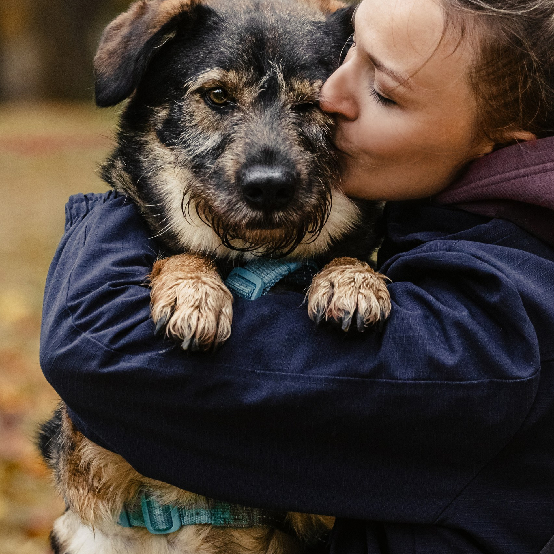 Собаки из&nbsp;приюта Дубовая роща осень 2025