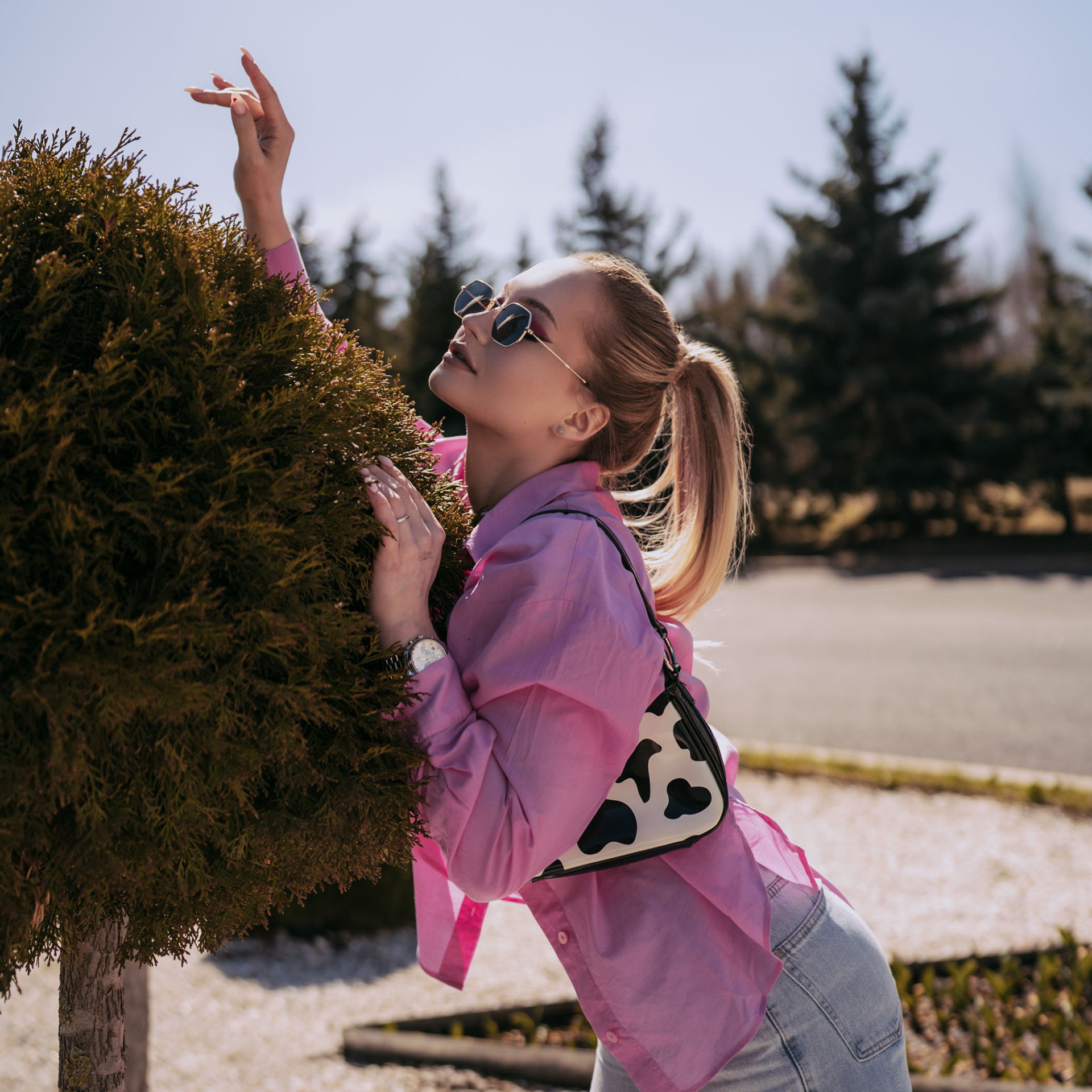 Воробьевы горы