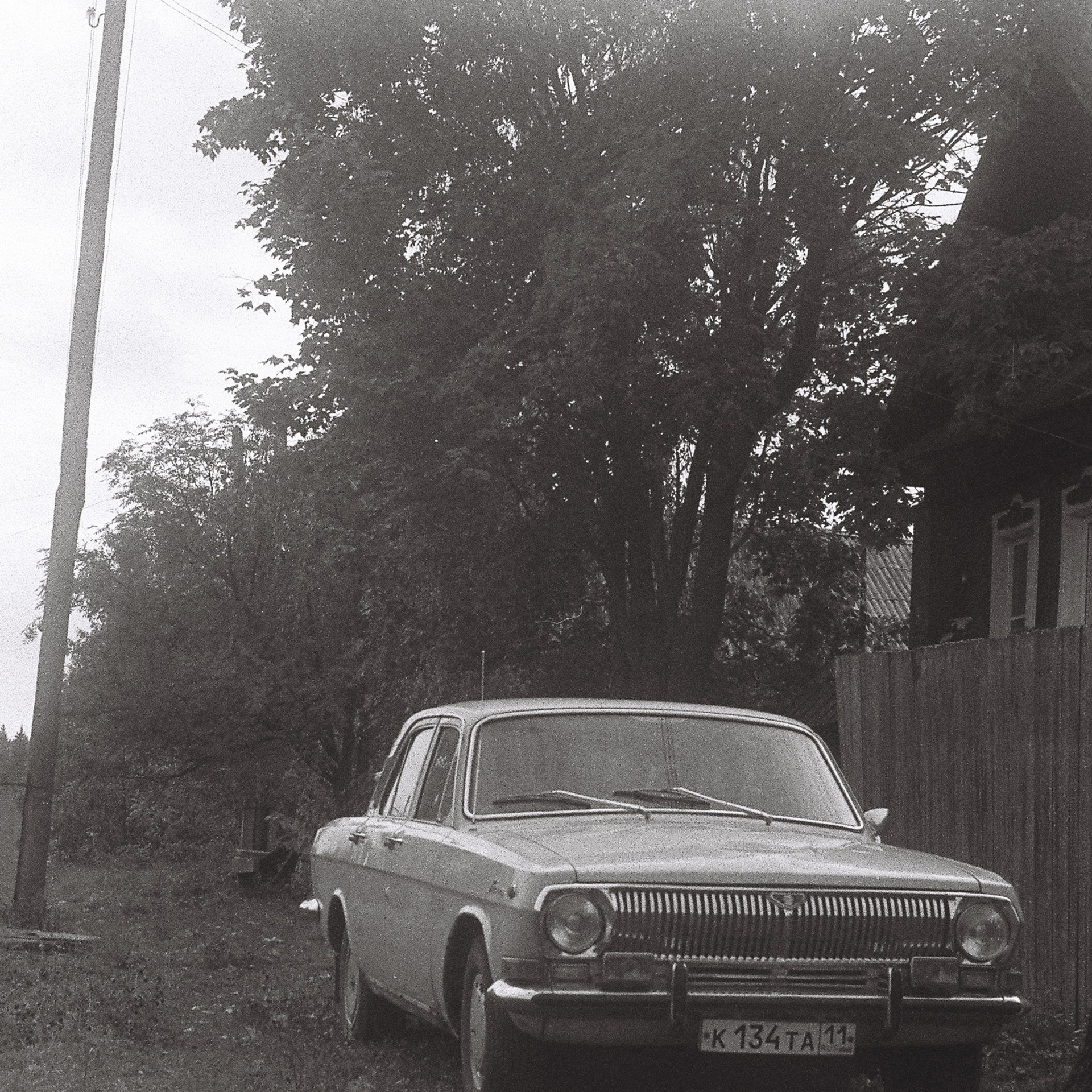 Зенит + чб&nbsp;пленка