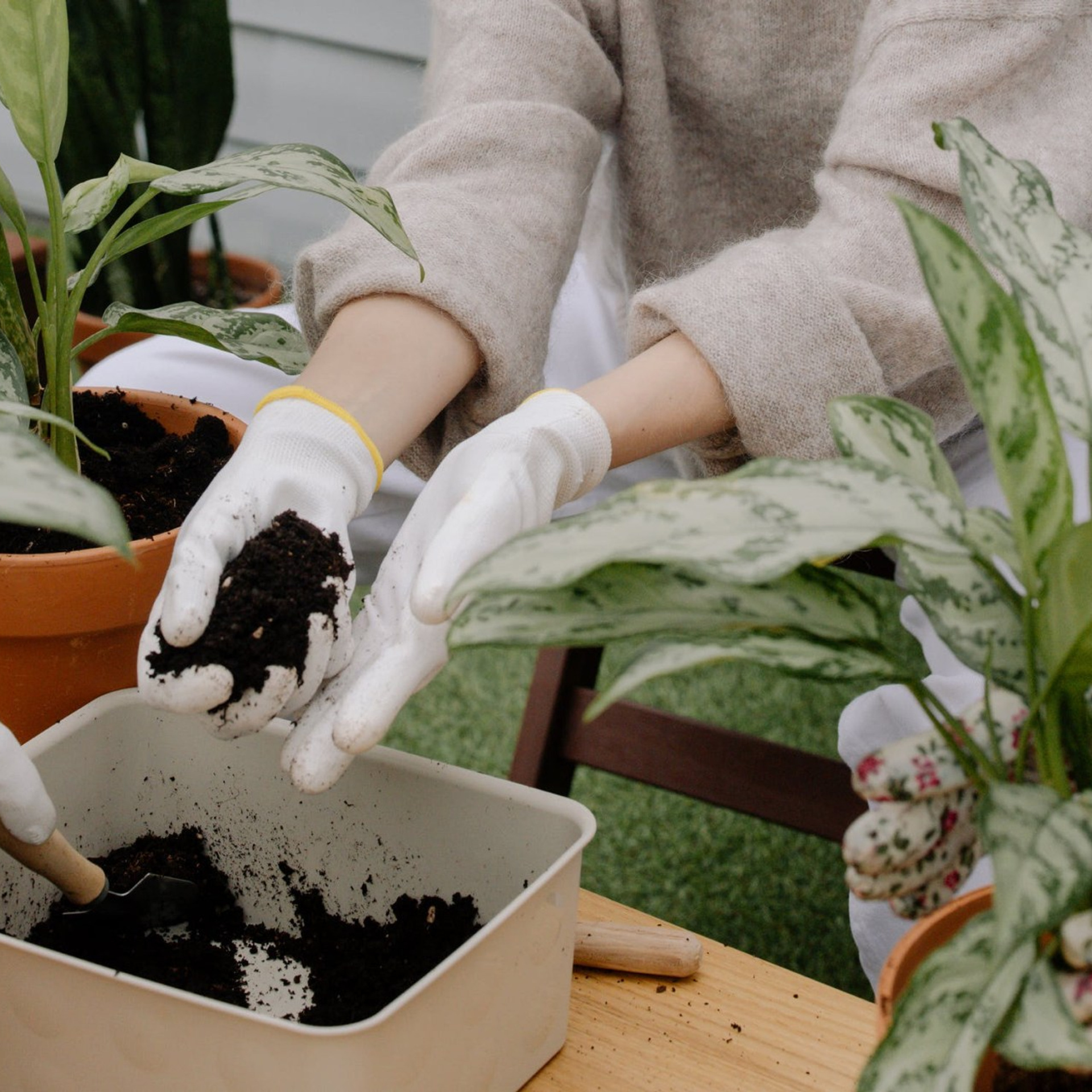 «Из всего можно сделать всё!» мастер-классы с чаепитием. Дом Шрёдера