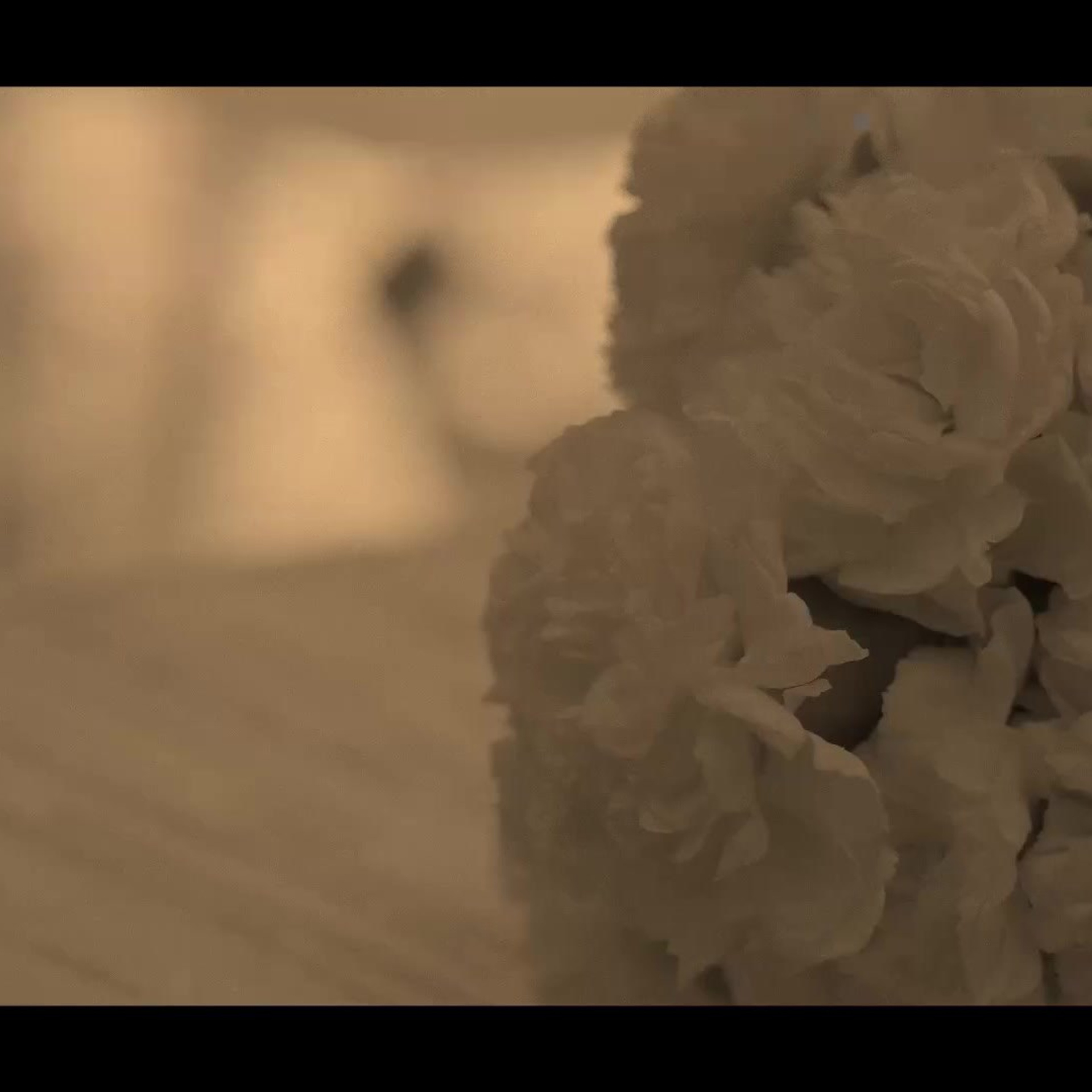 Clip/Film. EGOROV PRODUCTION