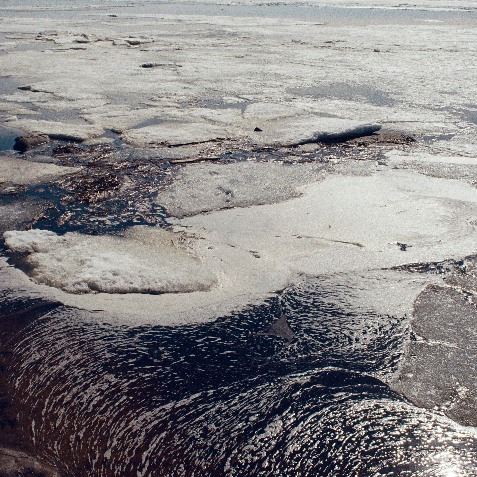 OTHER. Sasha Avis Photography