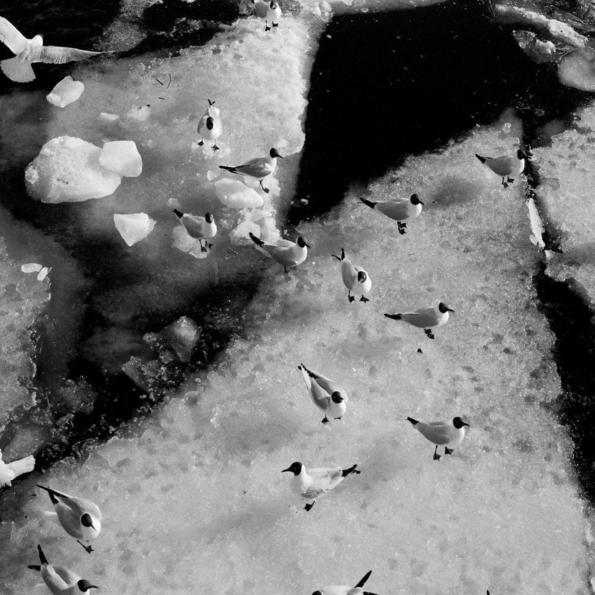 OTHER. Sasha Avis Photography