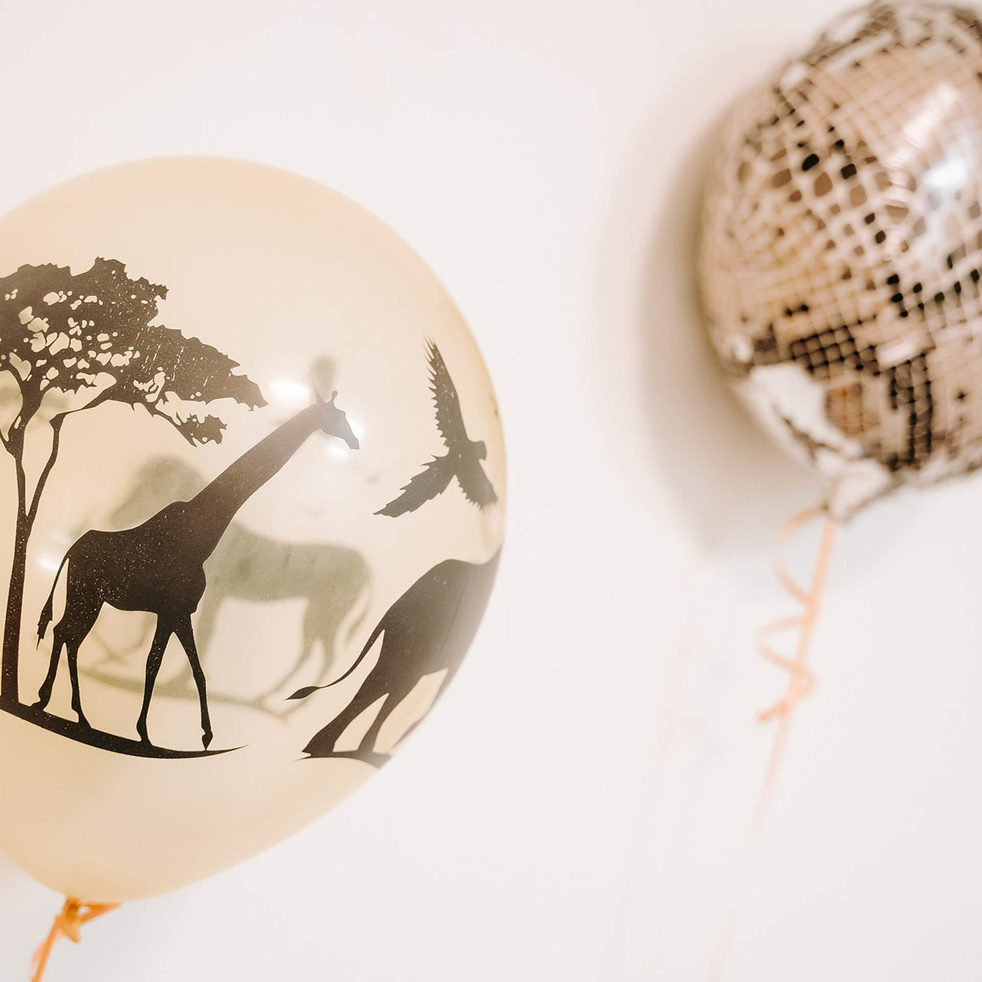 Family Day Jumaji. Репортажный фотограф в Санкт-Петербурге | Влад Грунь