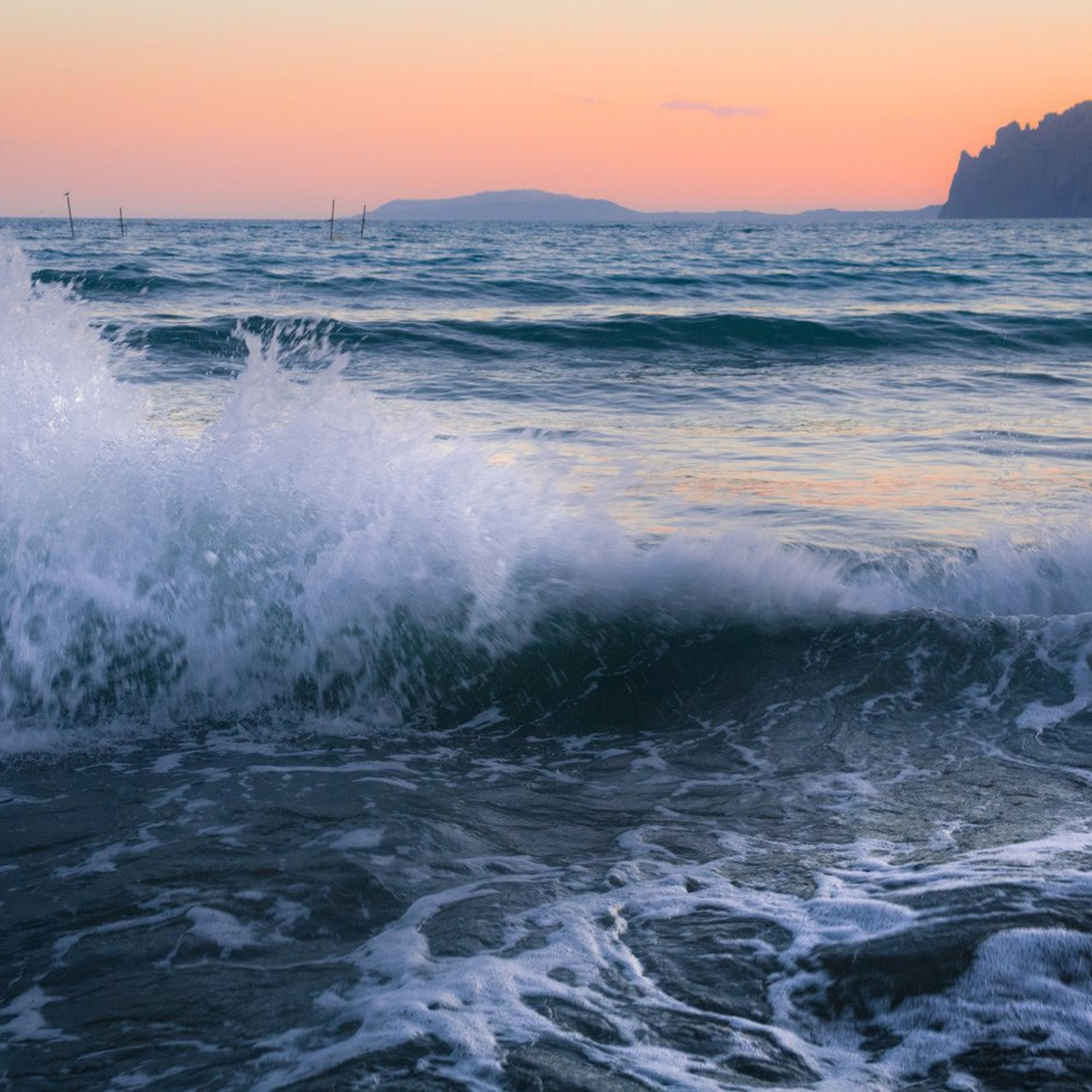 Отзывы. Фотограф Москва, Светлана Королева