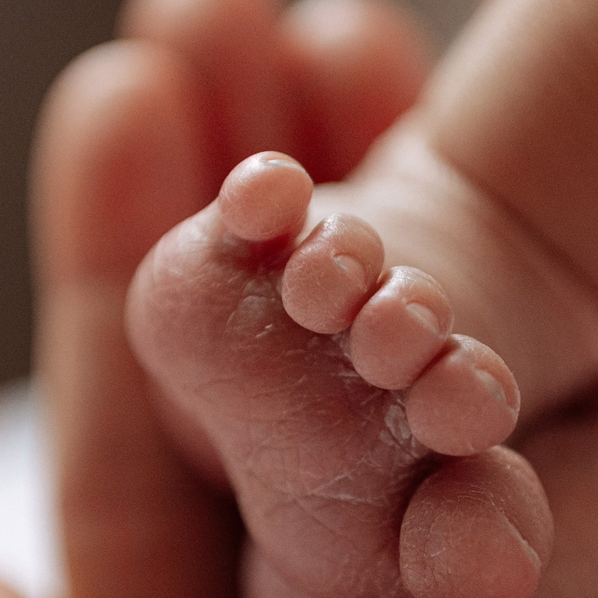 Семейный и портретный фотограф в Ростове-на-Дону Виктория Клименко