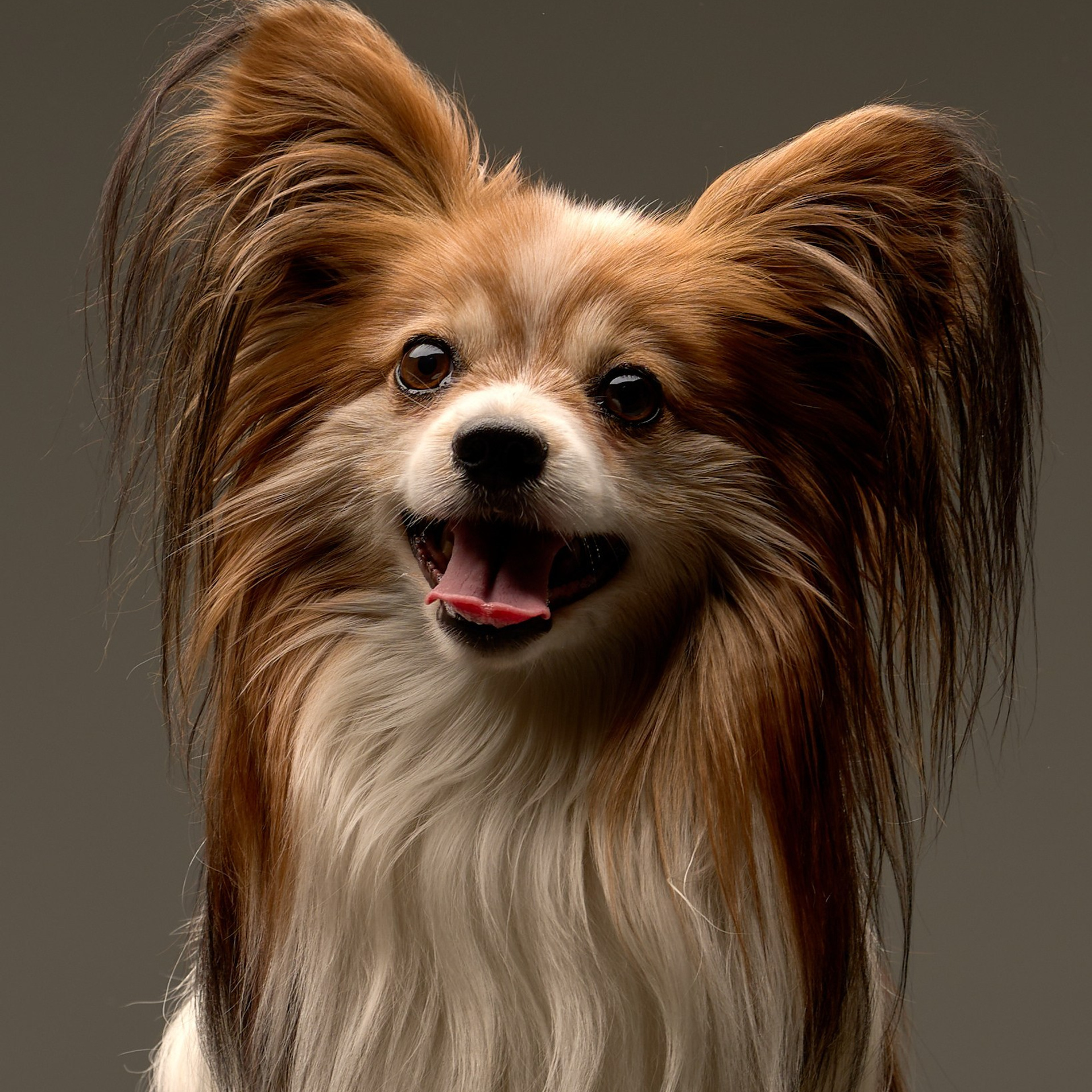 Отзывы. Портретный и семейный фотограф в г. Архангельске Эдуард Евсиков