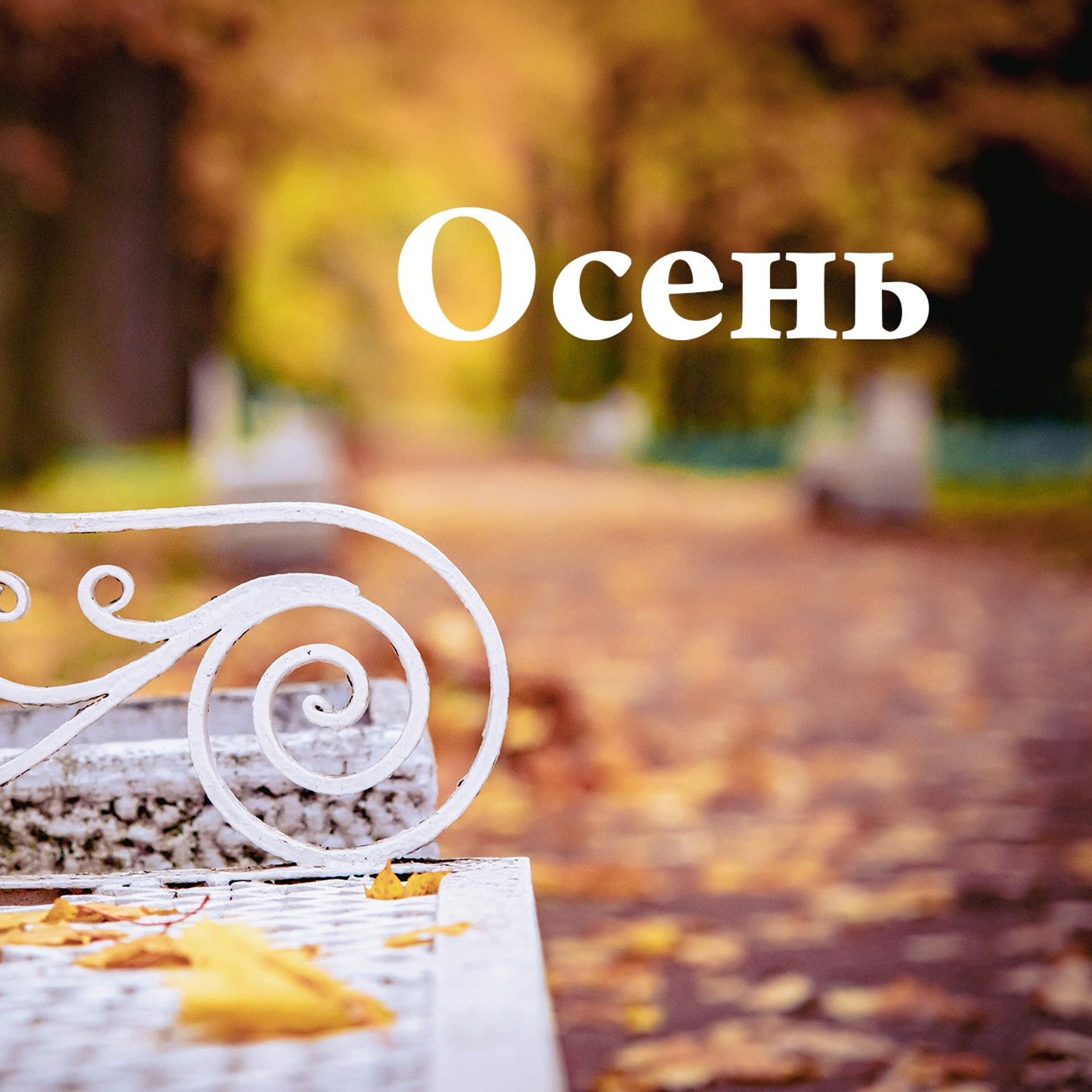 Осенние фотопрогулки в&nbsp;парках Пушкина