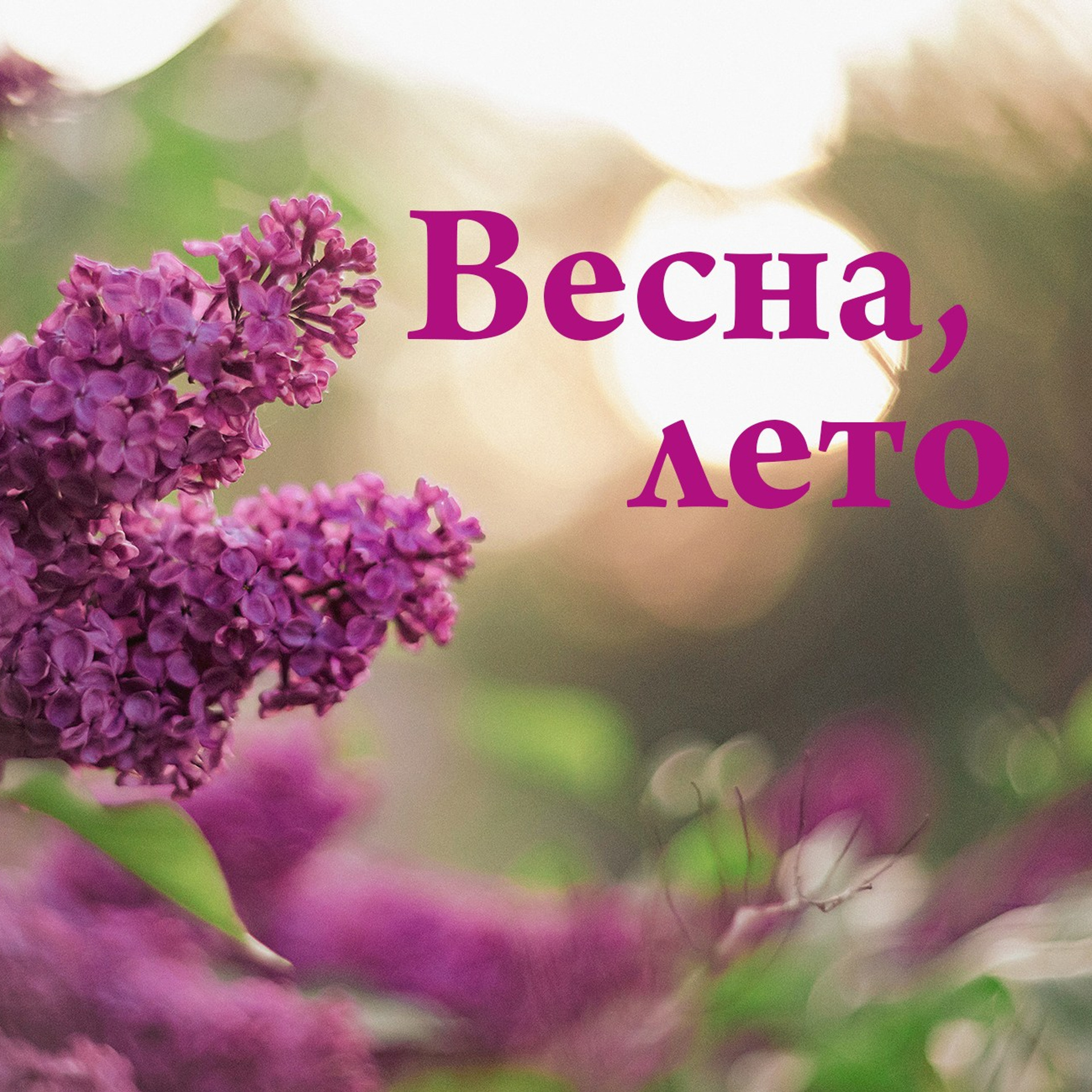 Фотопрогулки: весна и&nbsp;лето