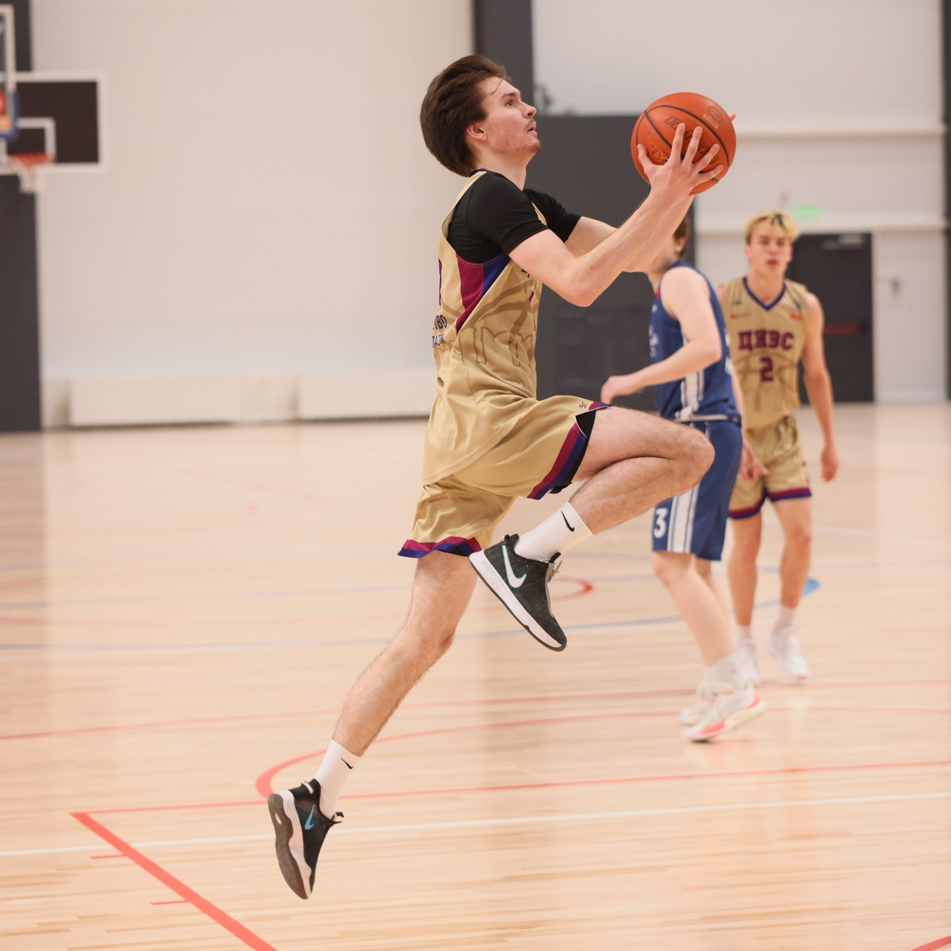 Баскетбол ТулГу VS МГУ