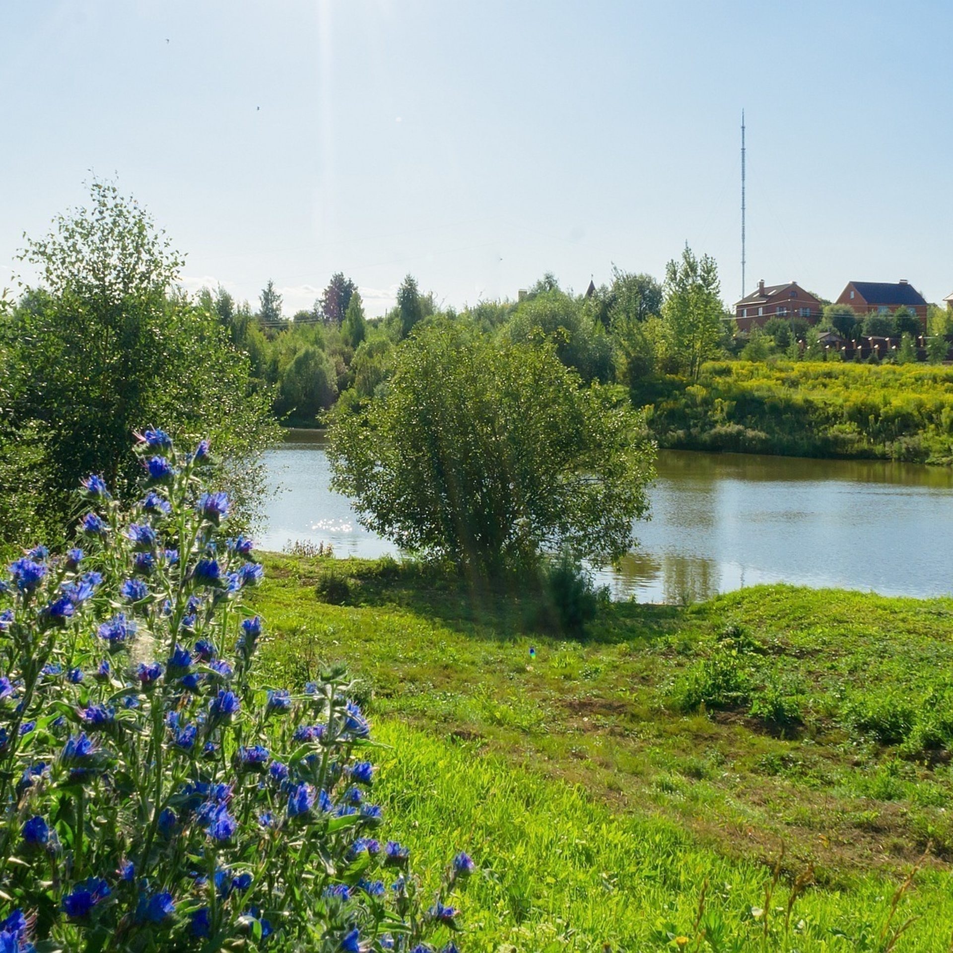 Лето в поселке Басово-Прудный и деревне Старое-Басово.