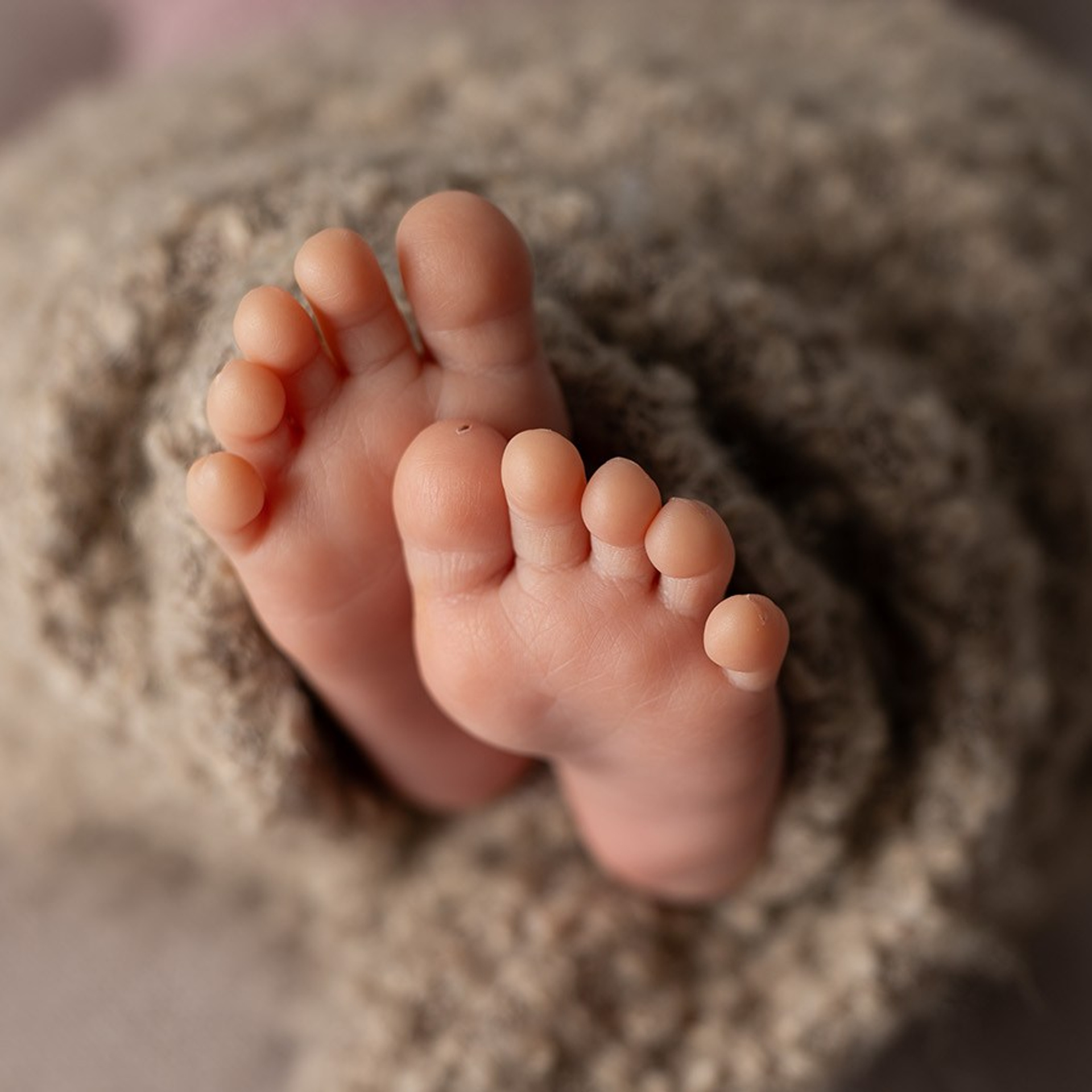 ножки 🤞 и прочие макро снимки