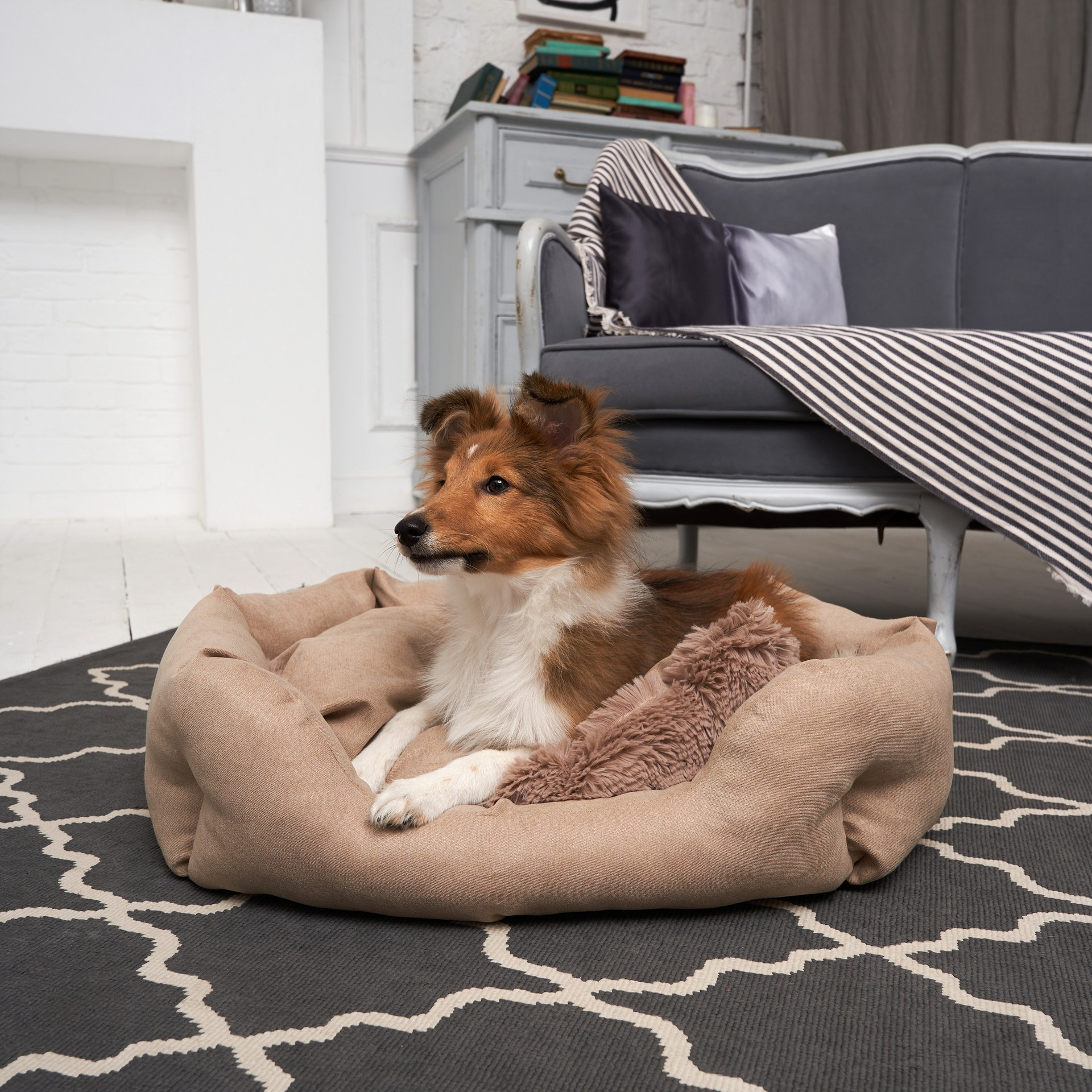 Ривер — Шелти | id 26702