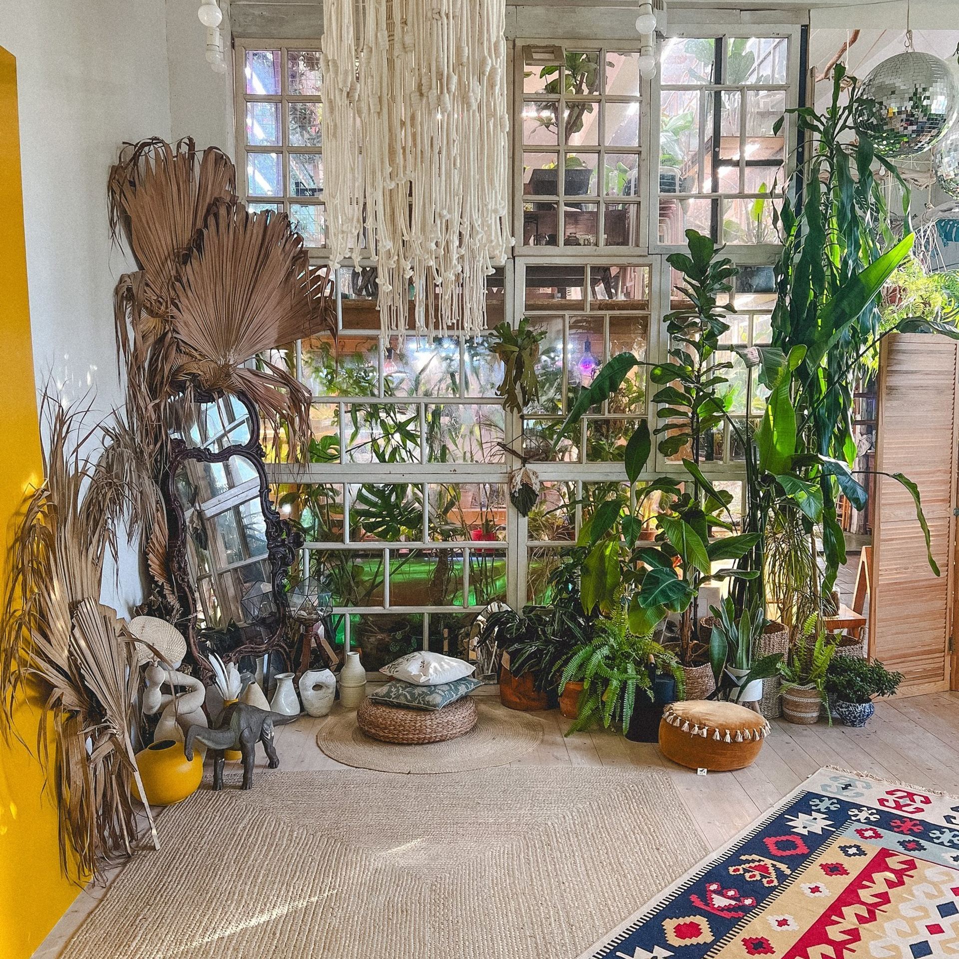 TROPICAL SPACE PRO 2