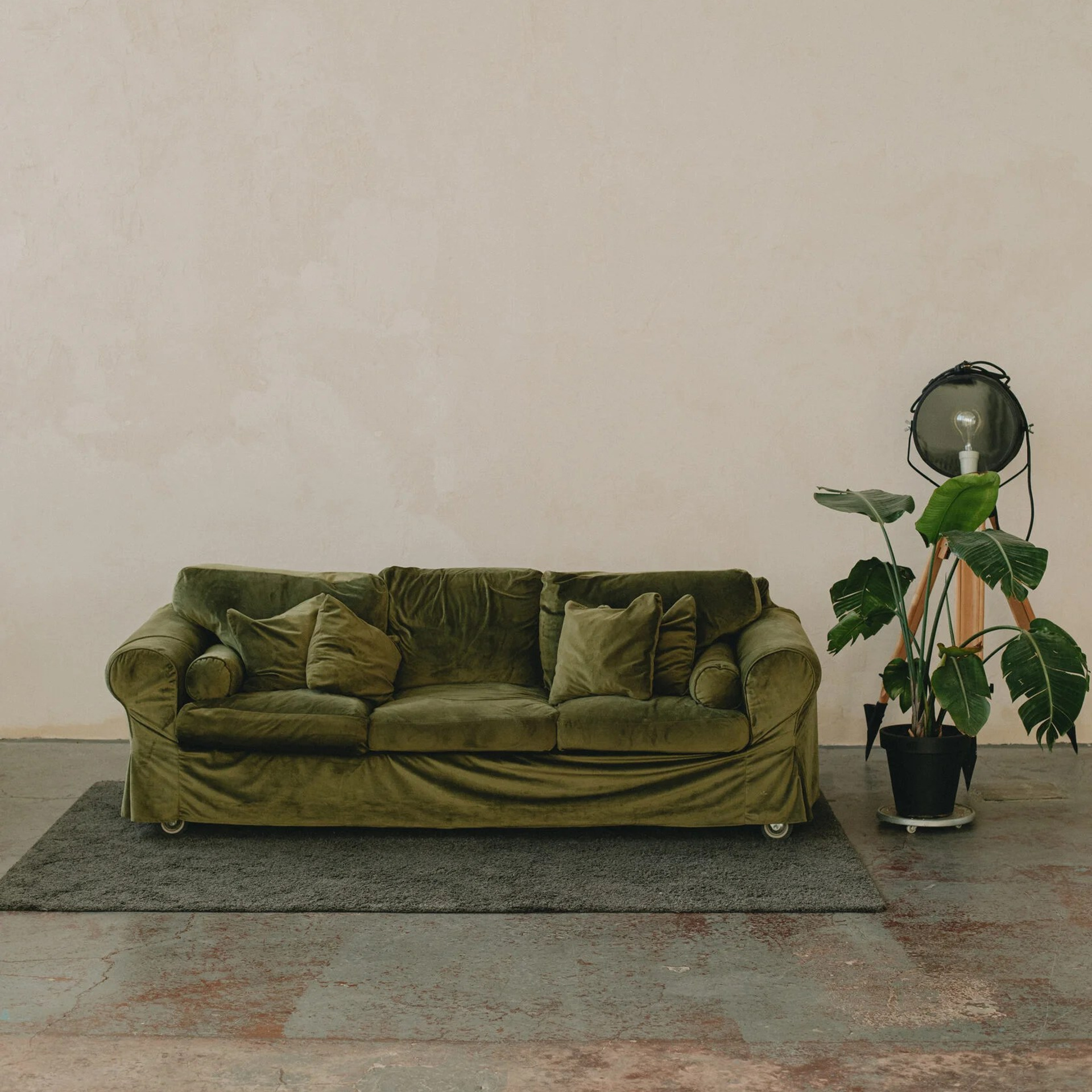 DOM STUDIOS — ZAL