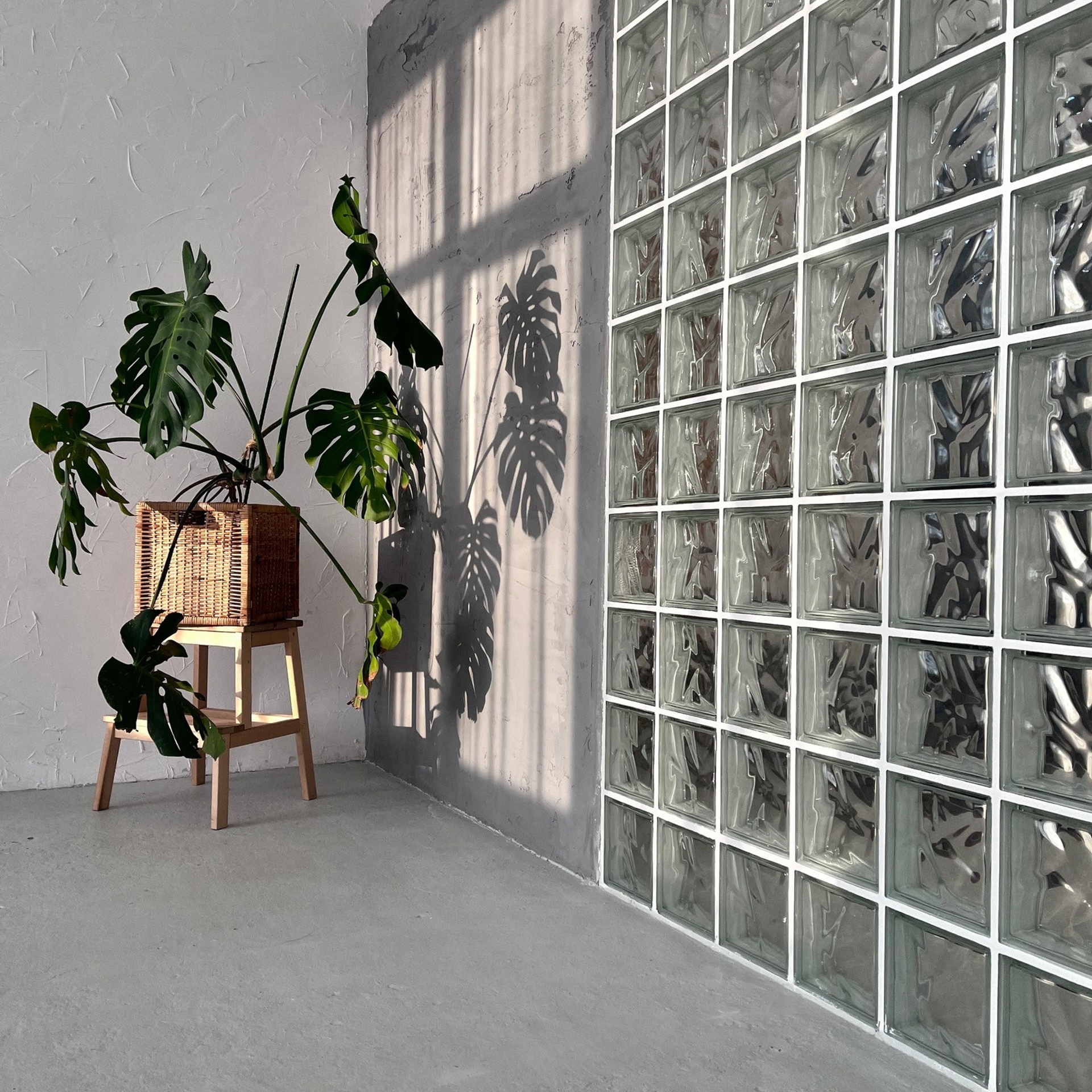 Visual Studio — Зал «InWhite»