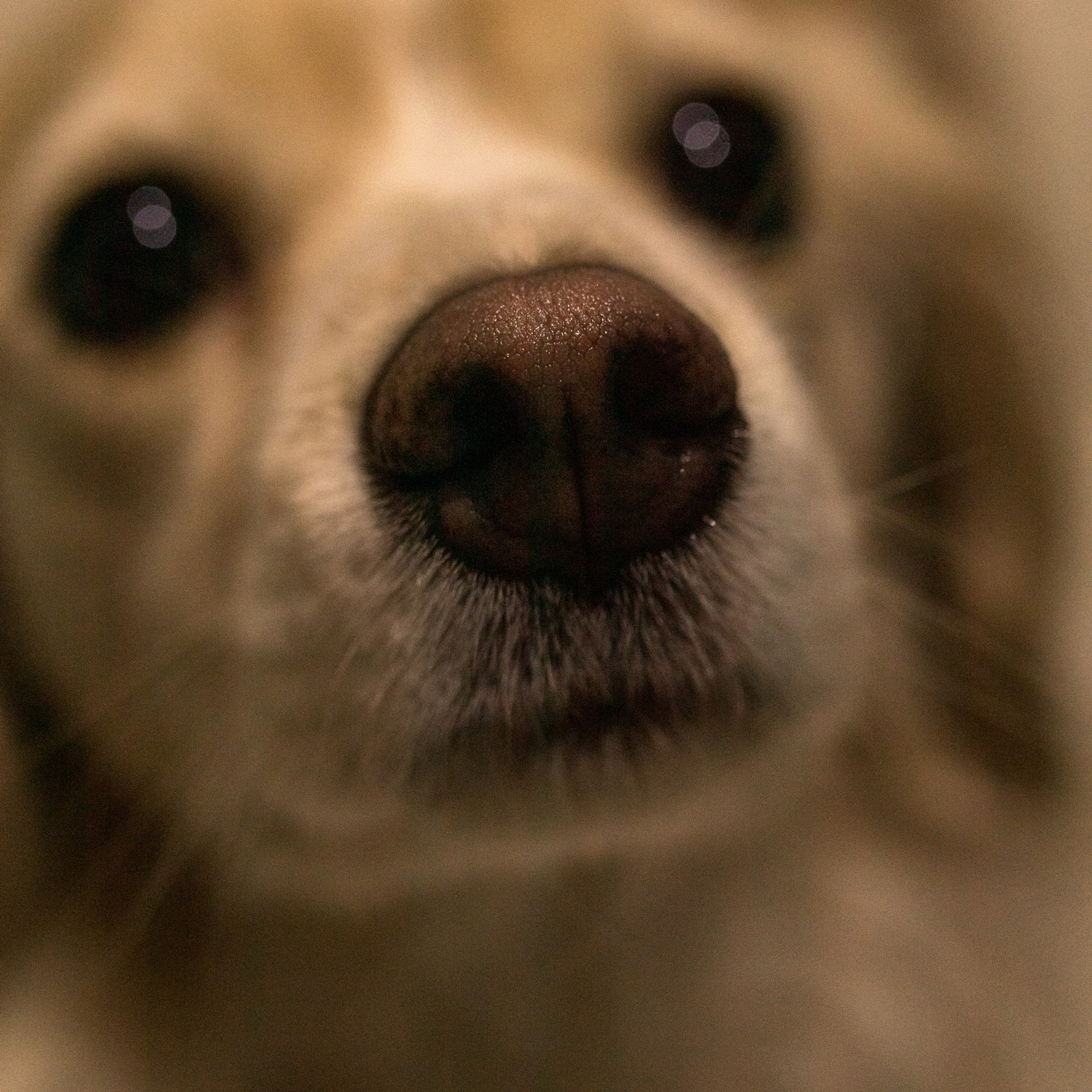 Отзывы. Фотограф в Краснодаре Арина Кудряшова