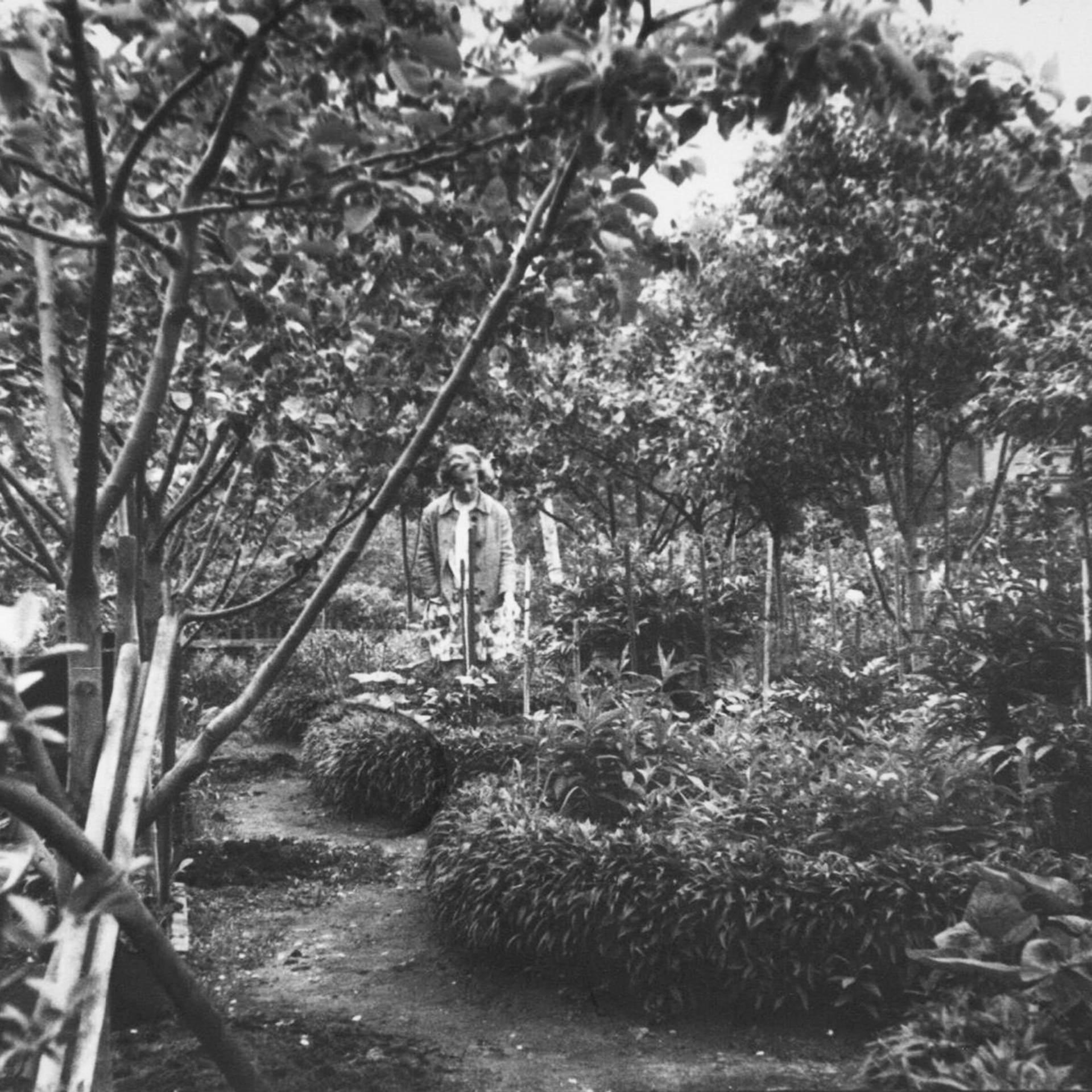 Алексеевы. Официальный сайт Посохинских двориков