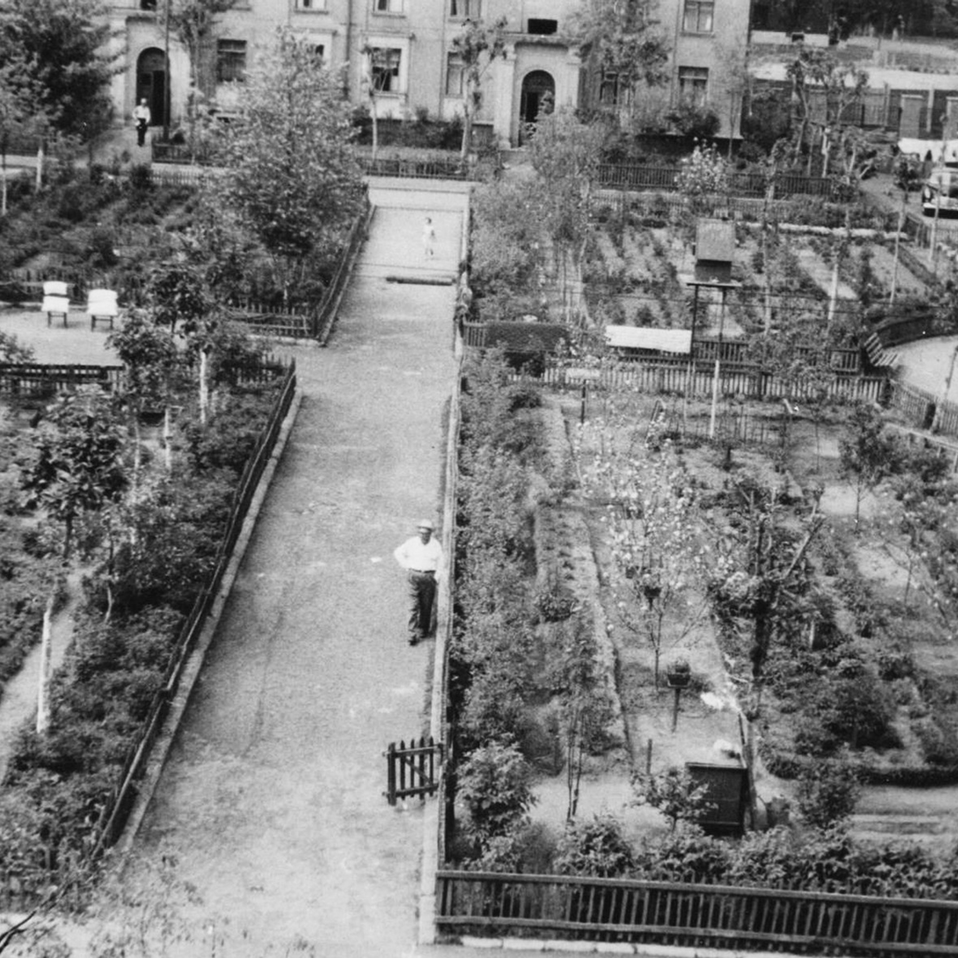 Алексеевы. Официальный сайт Посохинских двориков