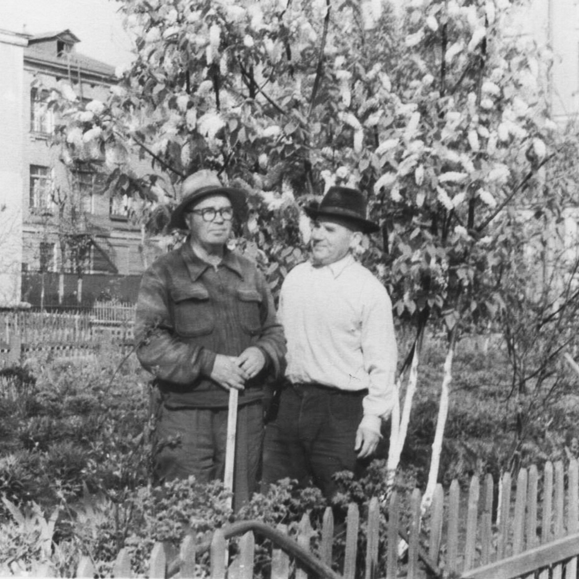 Алексеевы. Официальный сайт Посохинских двориков