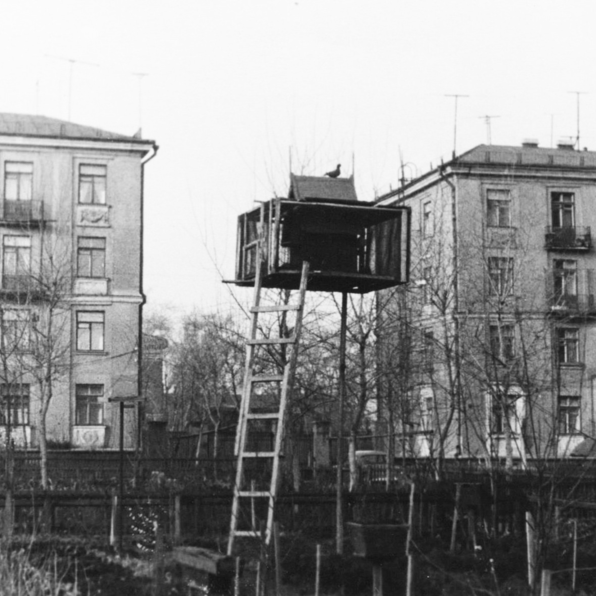 Алексеевы. Официальный сайт Посохинских двориков