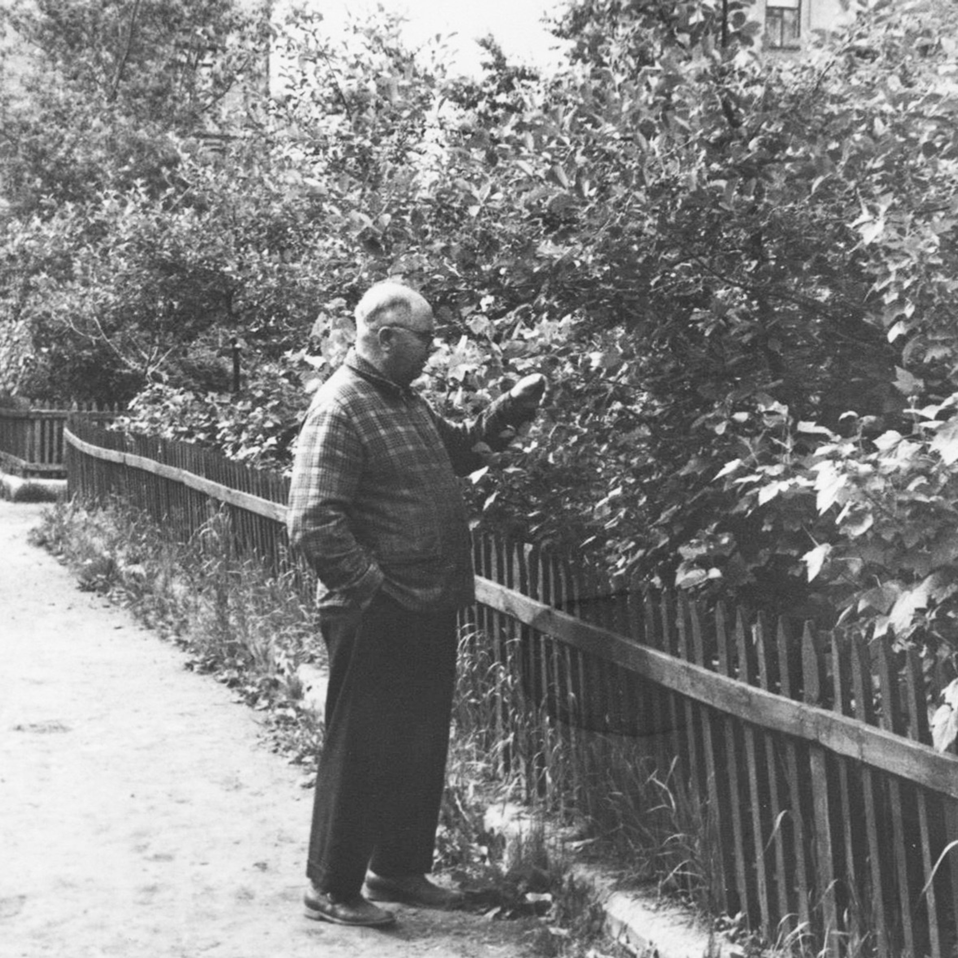 Алексеевы. Официальный сайт Посохинских двориков