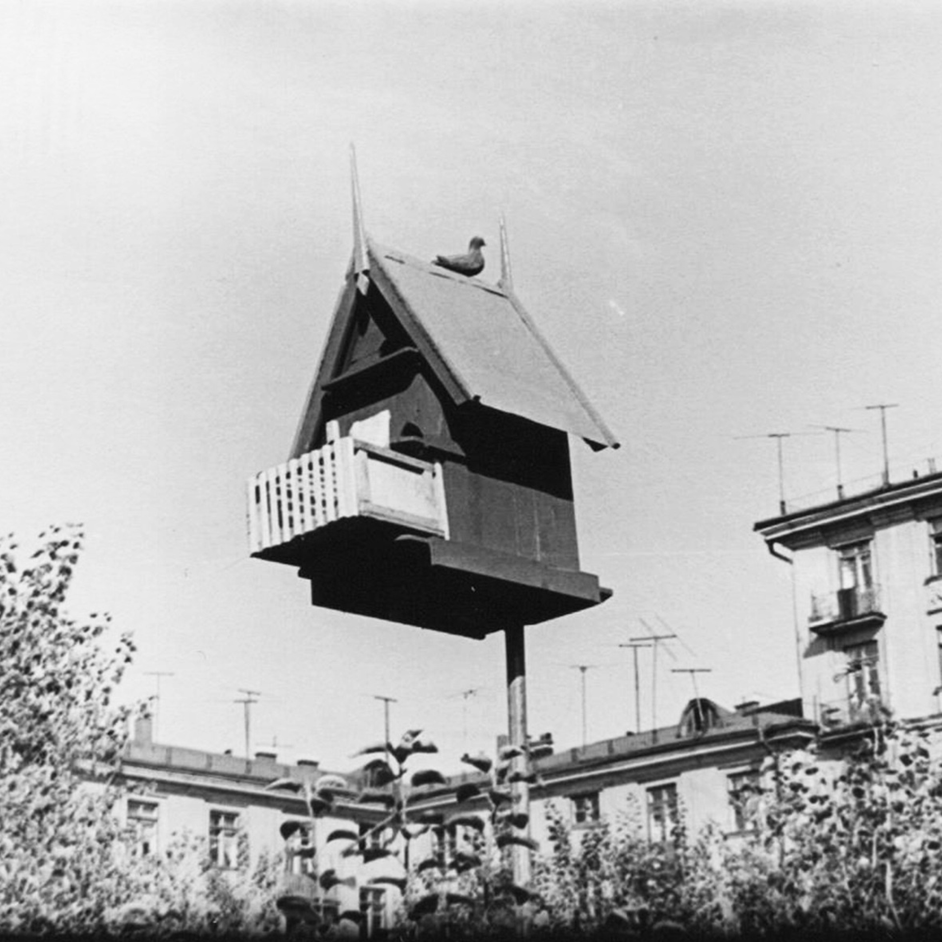 Алексеевы. Официальный сайт Посохинских двориков