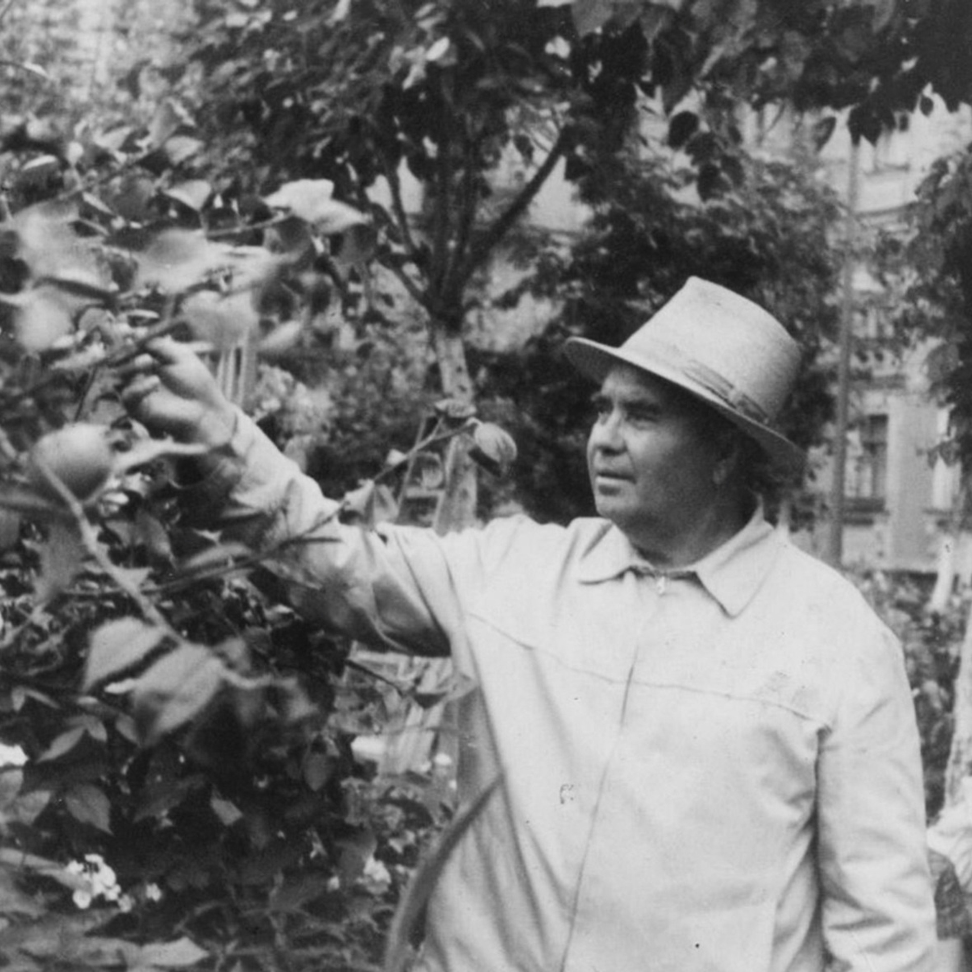 Алексеевы. Официальный сайт Посохинских двориков