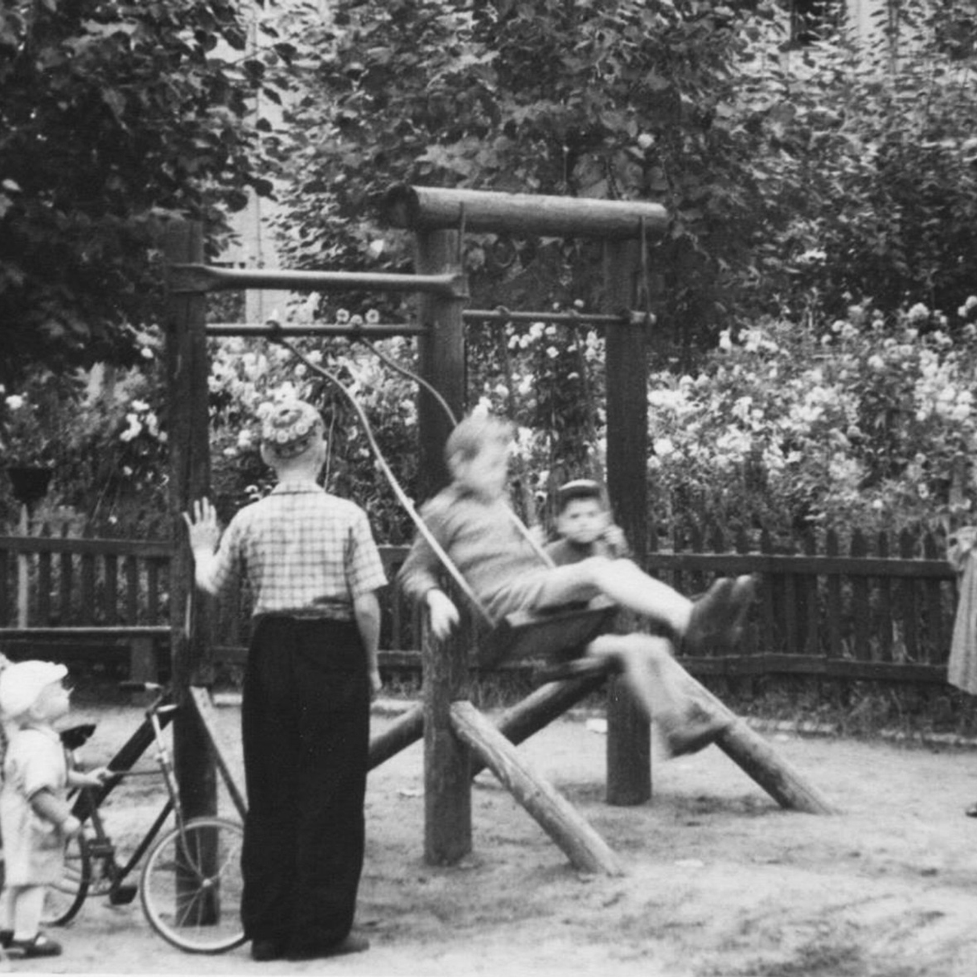 Алексеевы. Официальный сайт Посохинских двориков